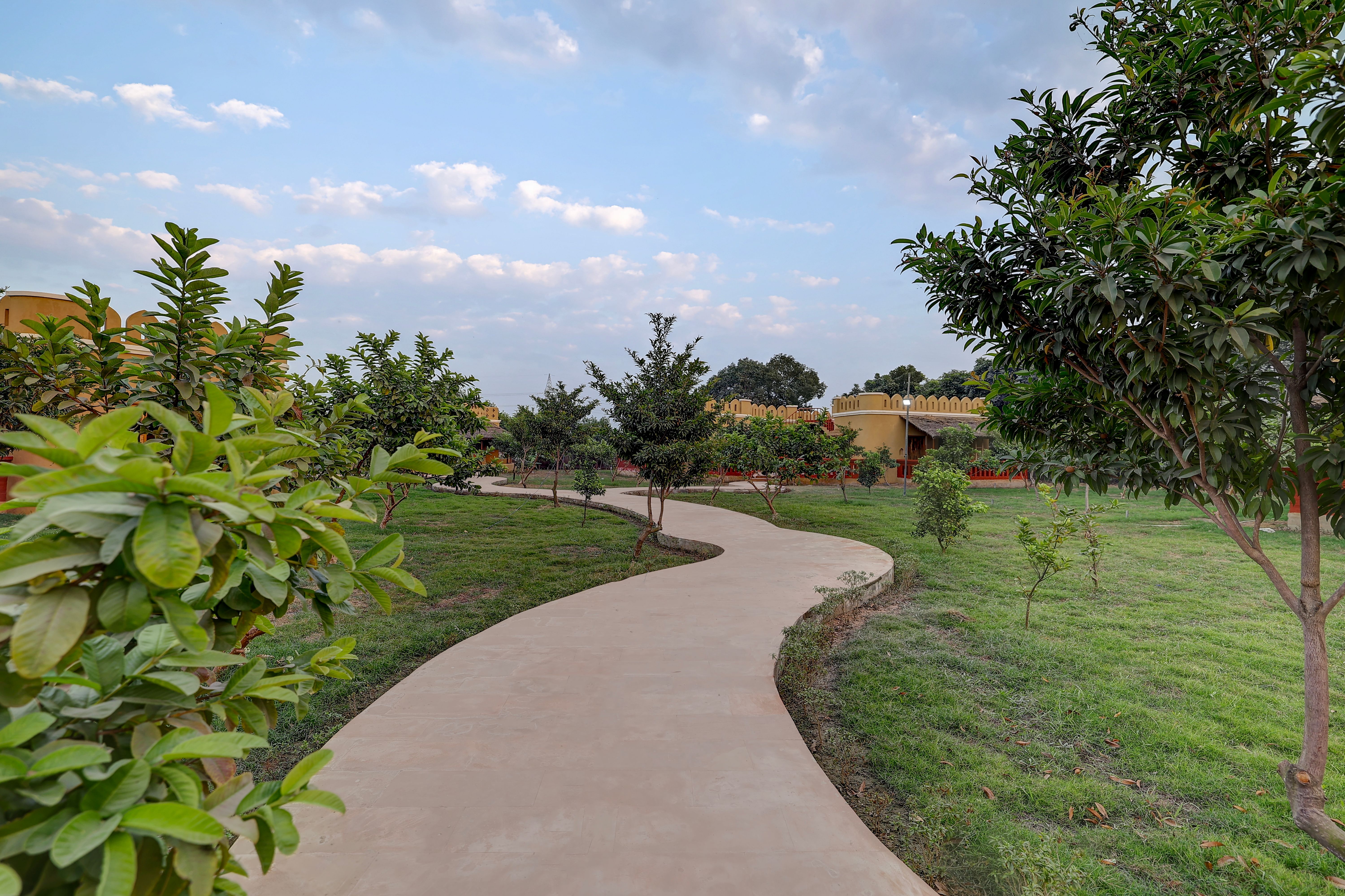 Garden 1