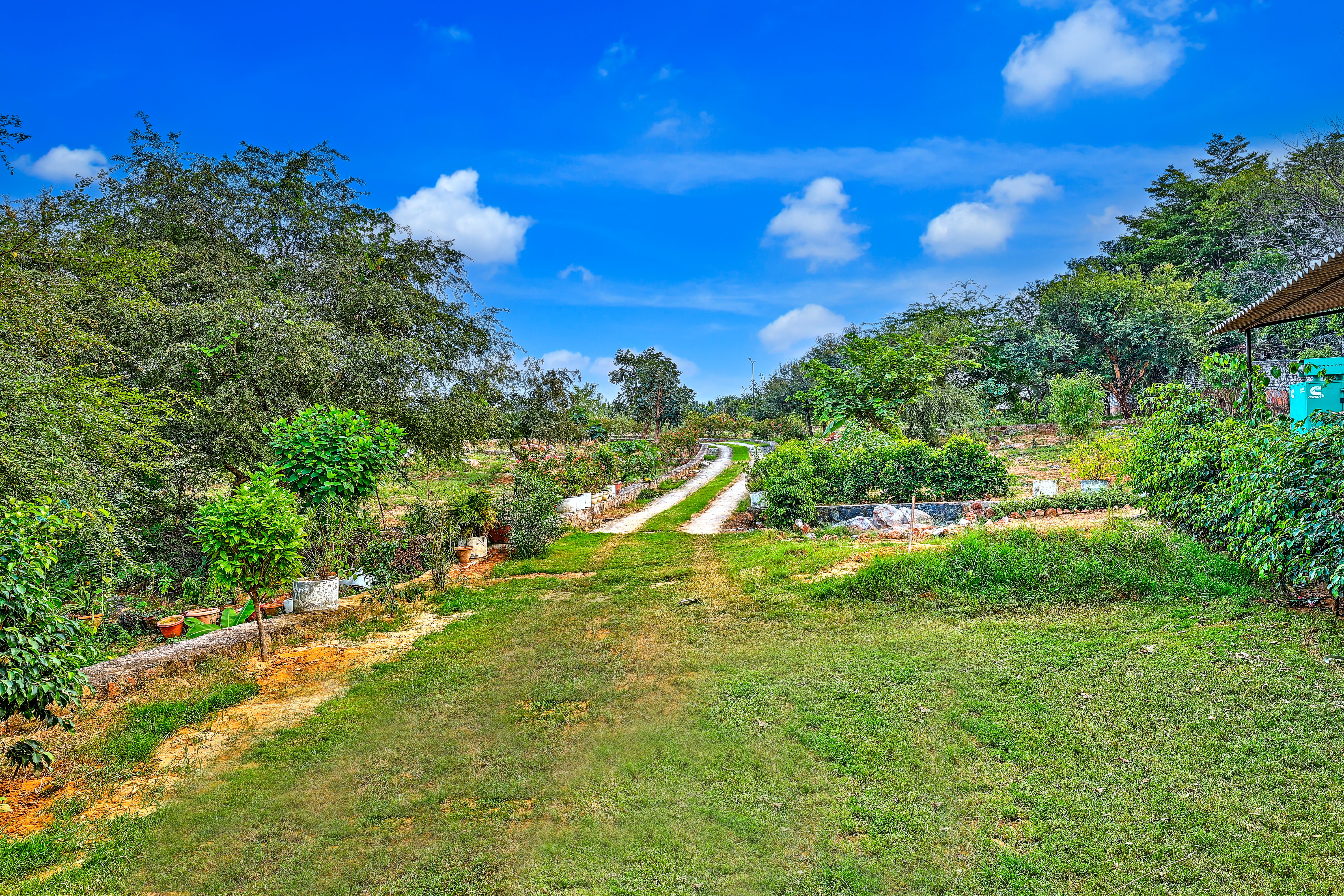 Garden