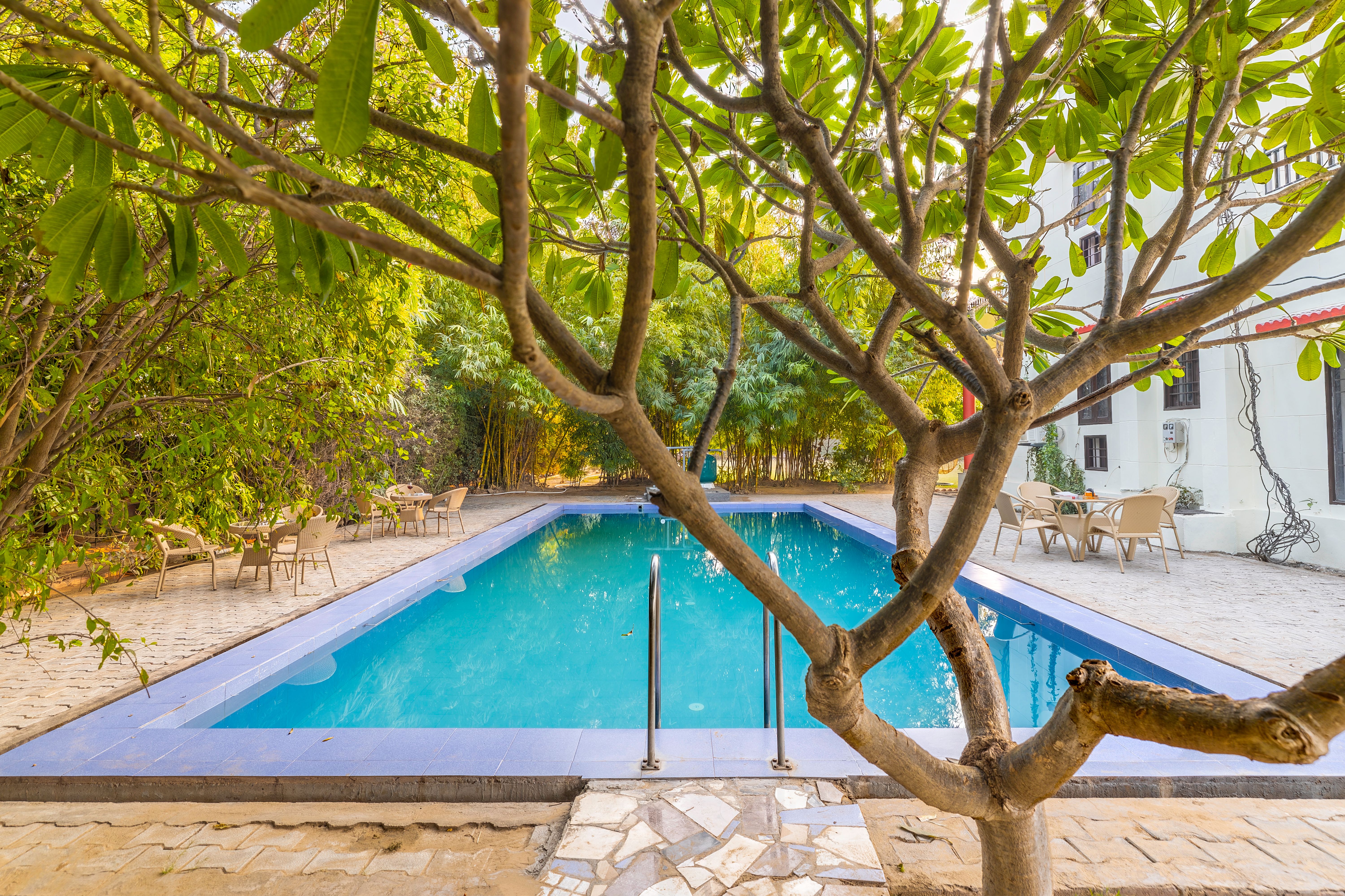 Outdoor pool 