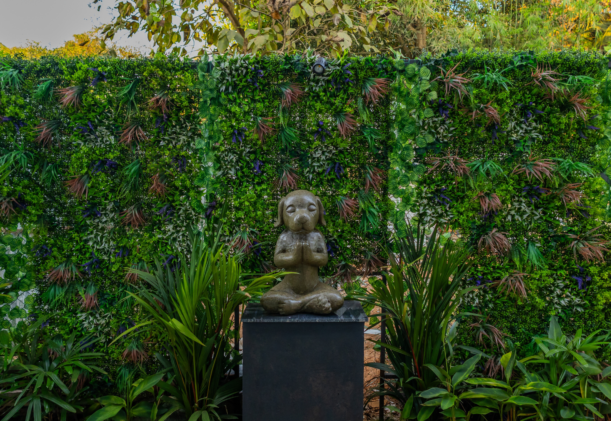 Image 17