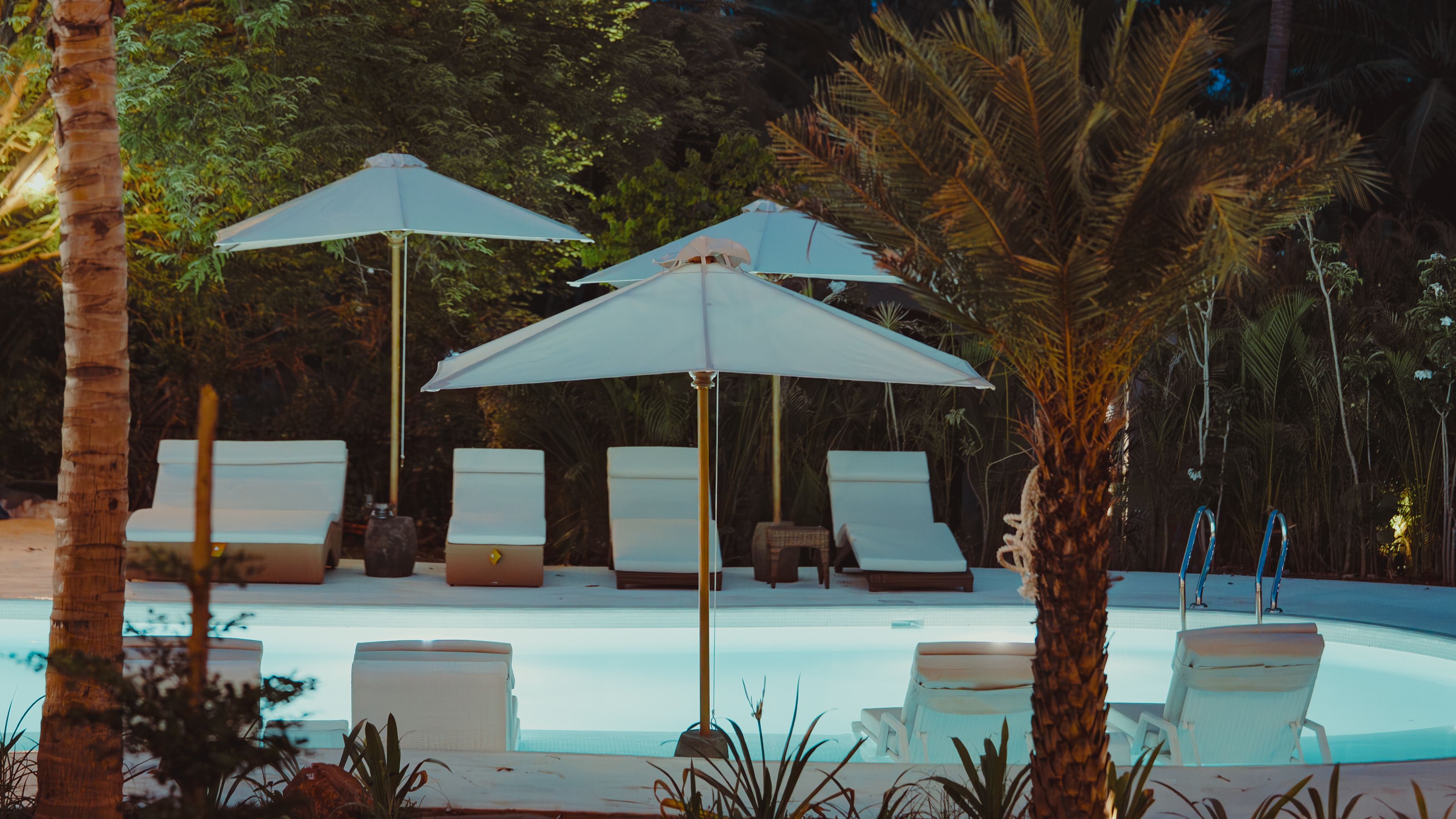 Loungers