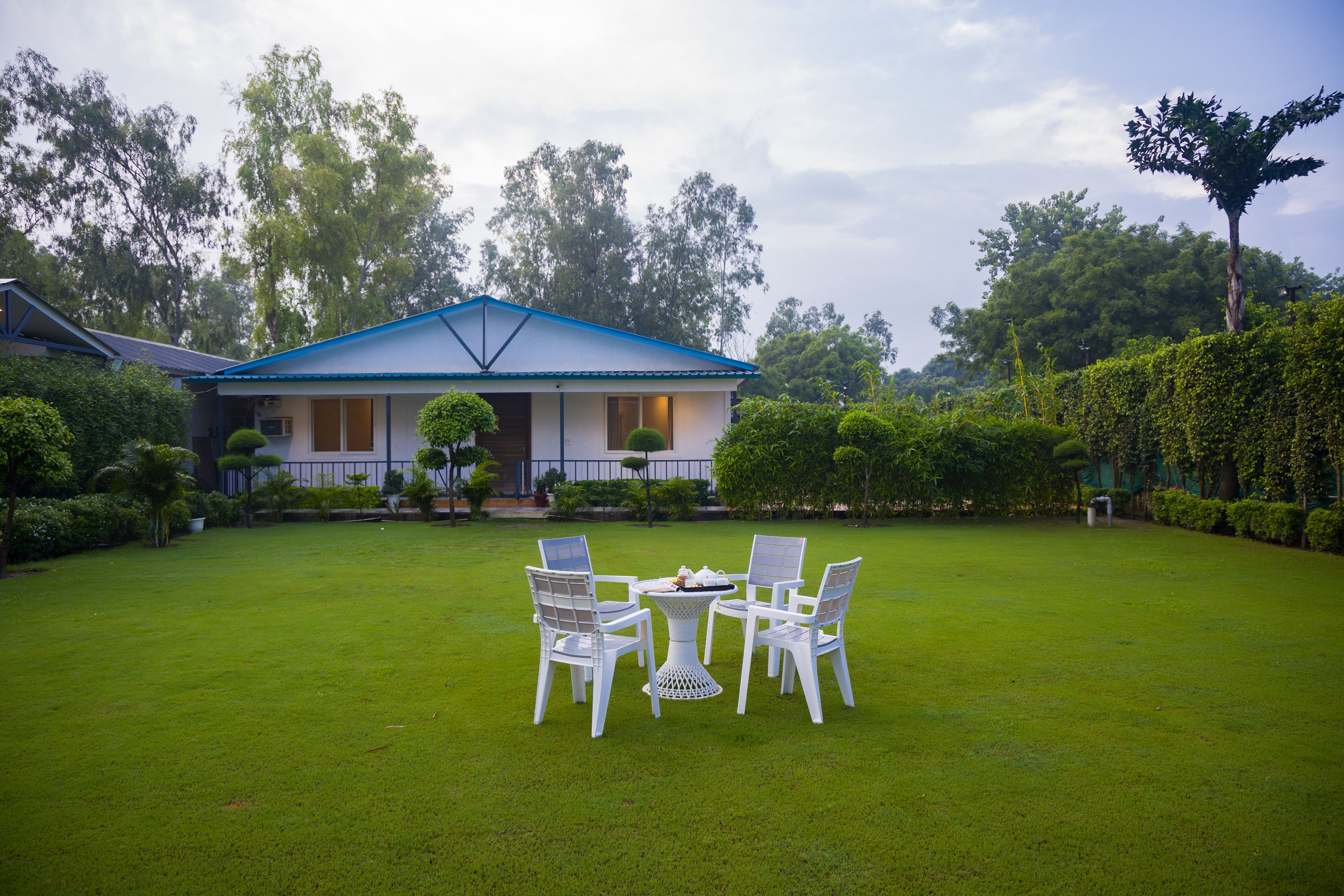 Garden