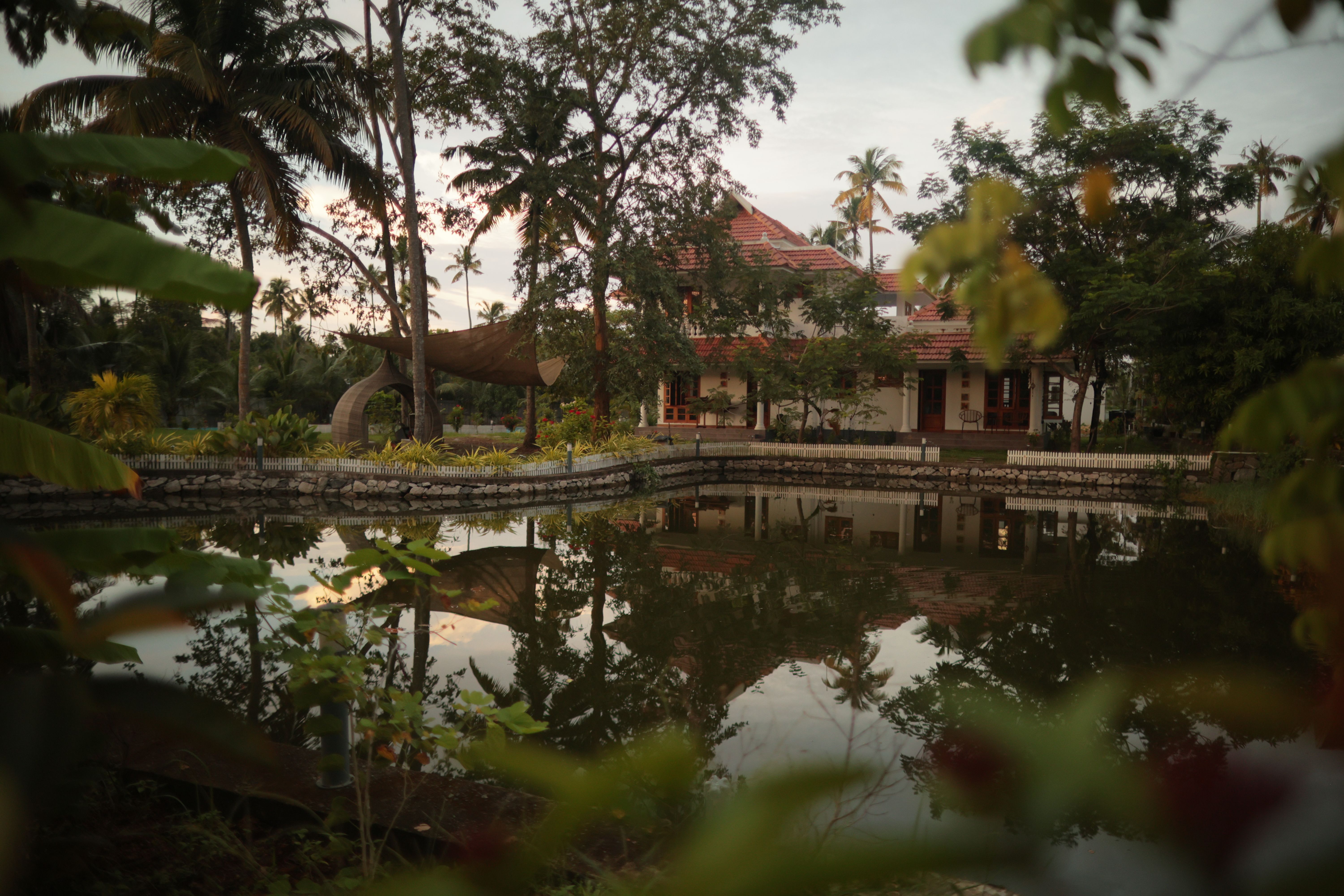 Image 21