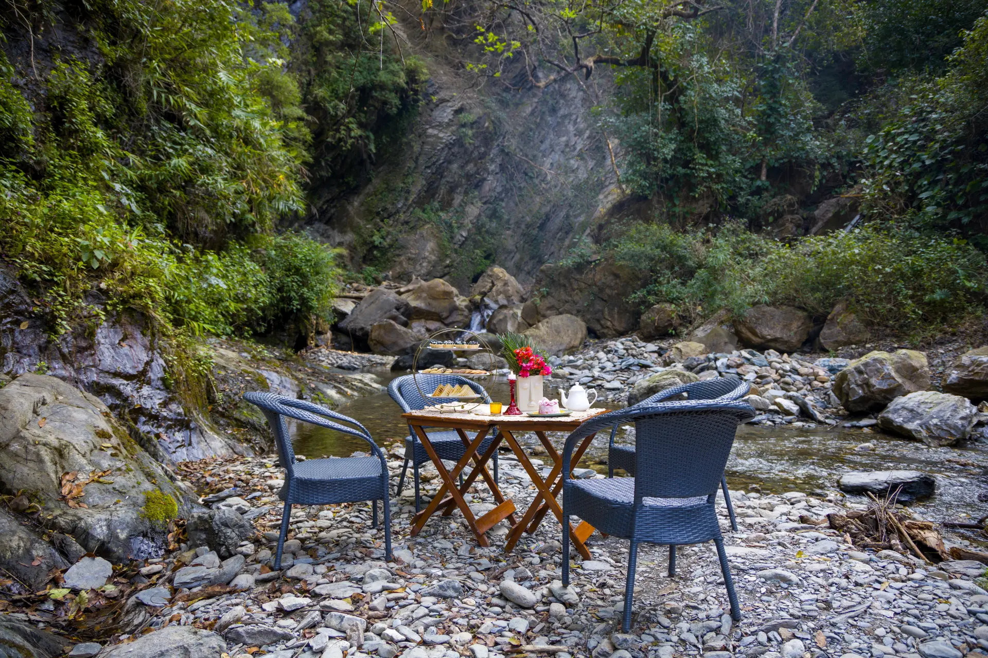 Zephyr Stoneva, Mussoorie - Jungle