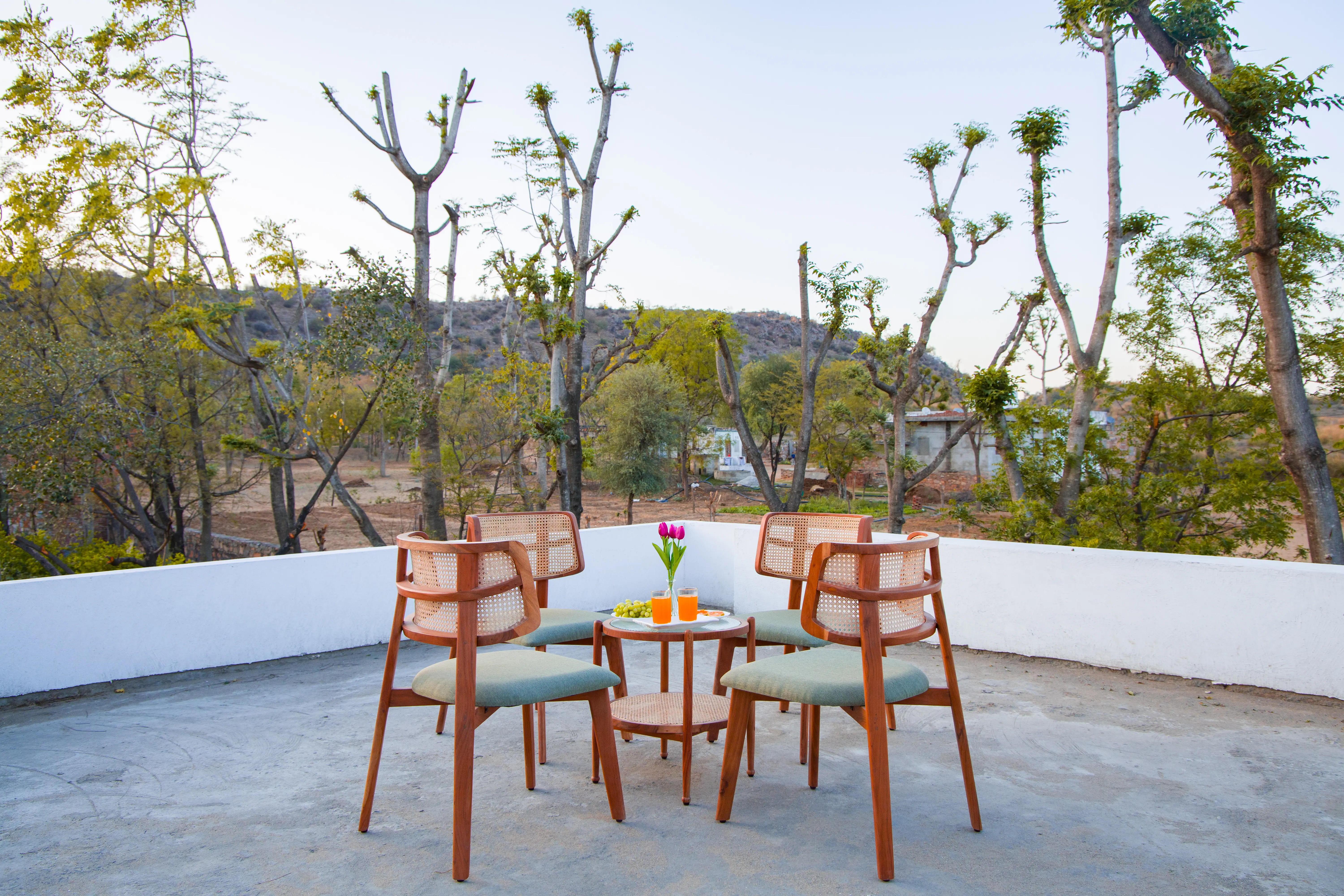 Nature 95, Jaipur - Terrace