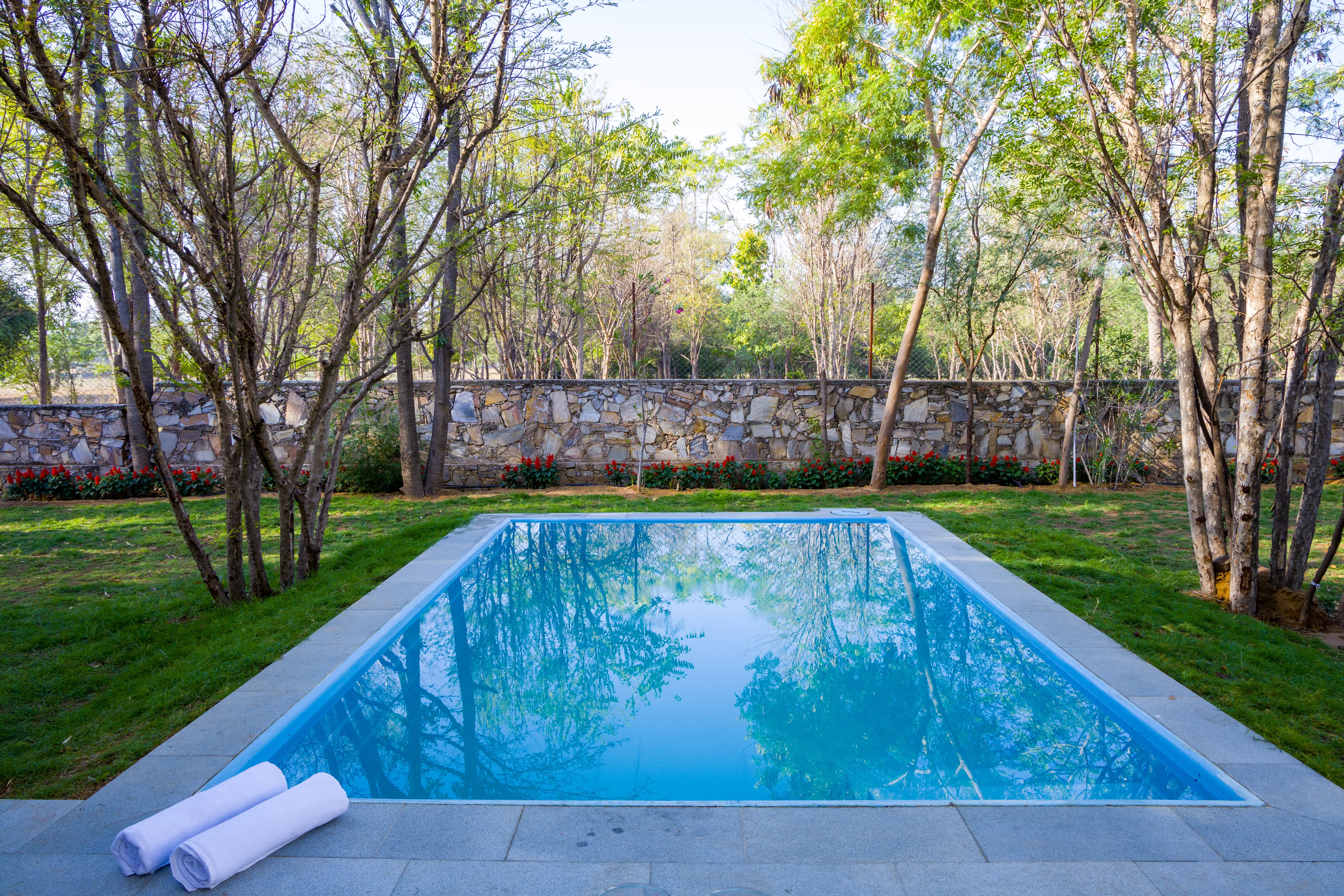 Nature 95, Jaipur - H3