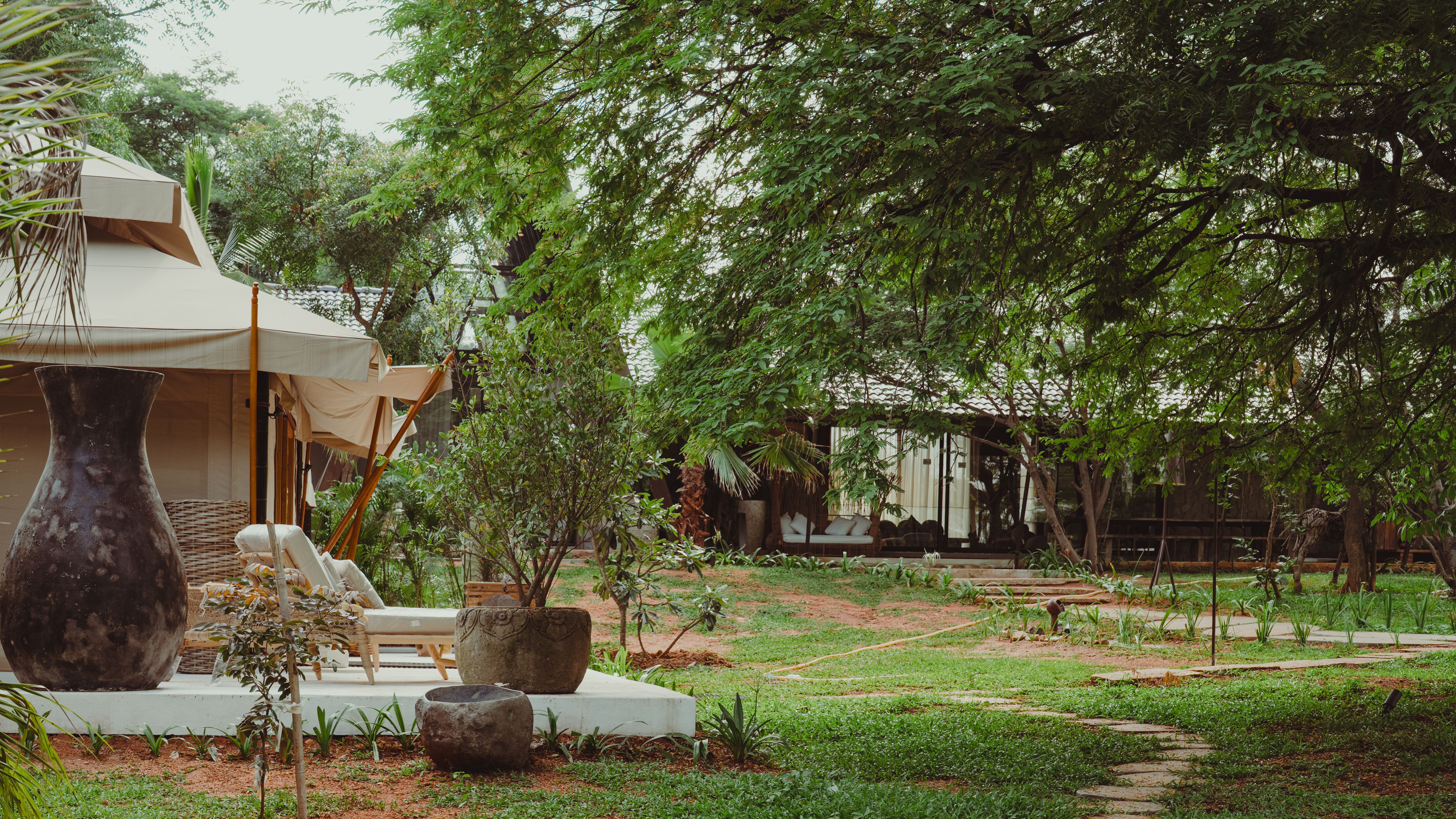 Garden