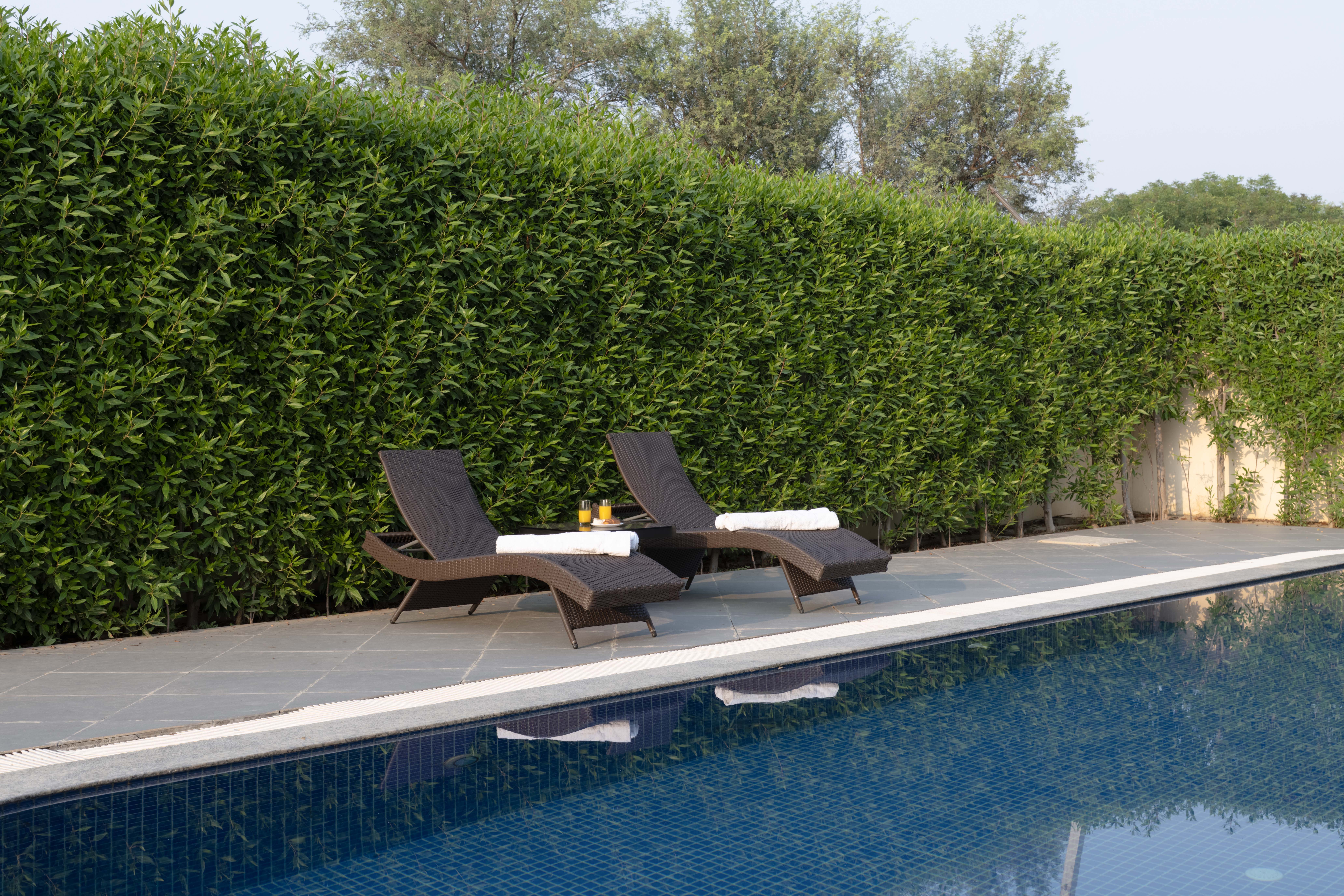 Chic 4-BHK Retreat with Private Pool, Terrace & Landscaped Garden | Pet-friendly — photo 30