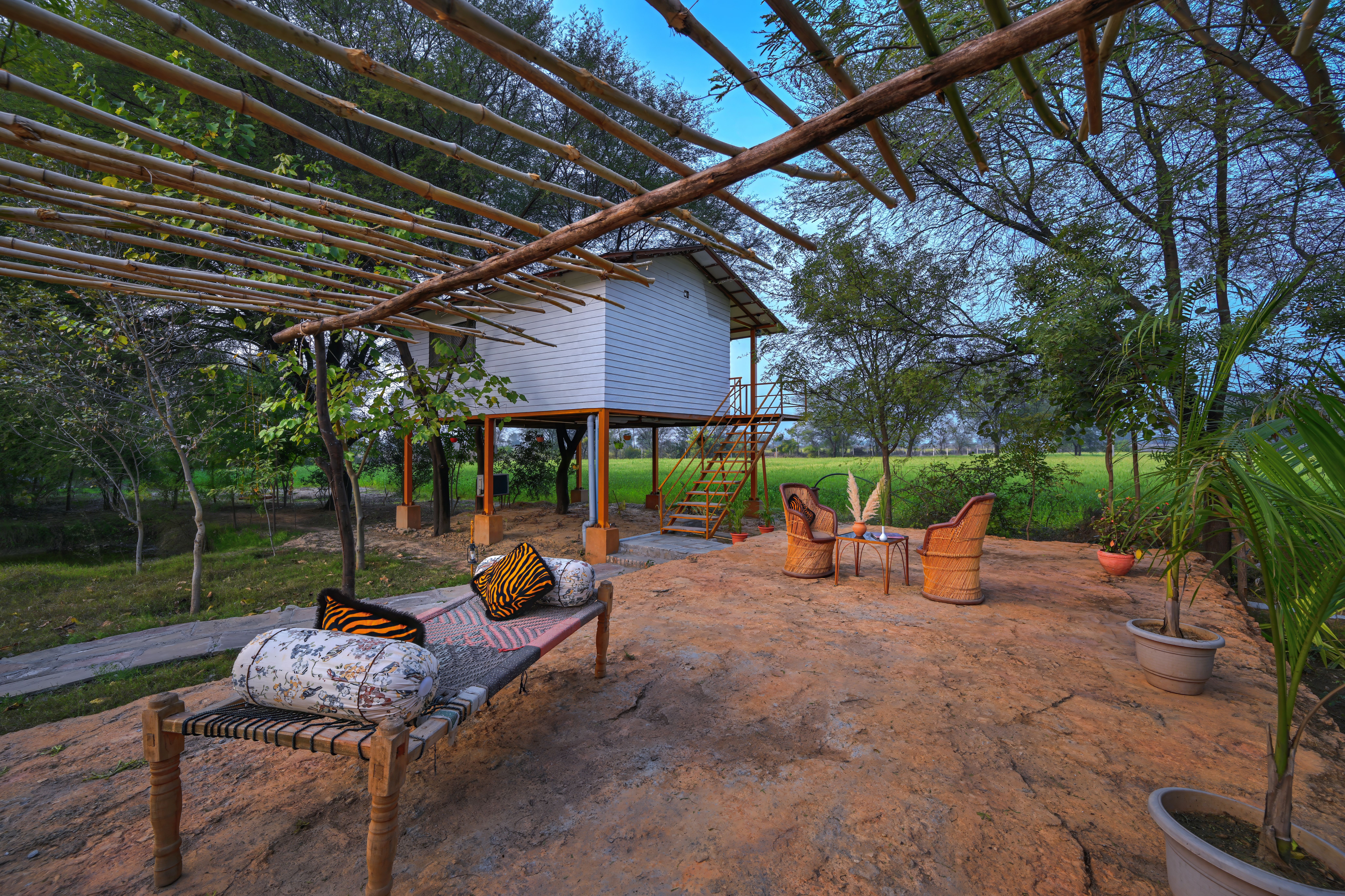Pergola 