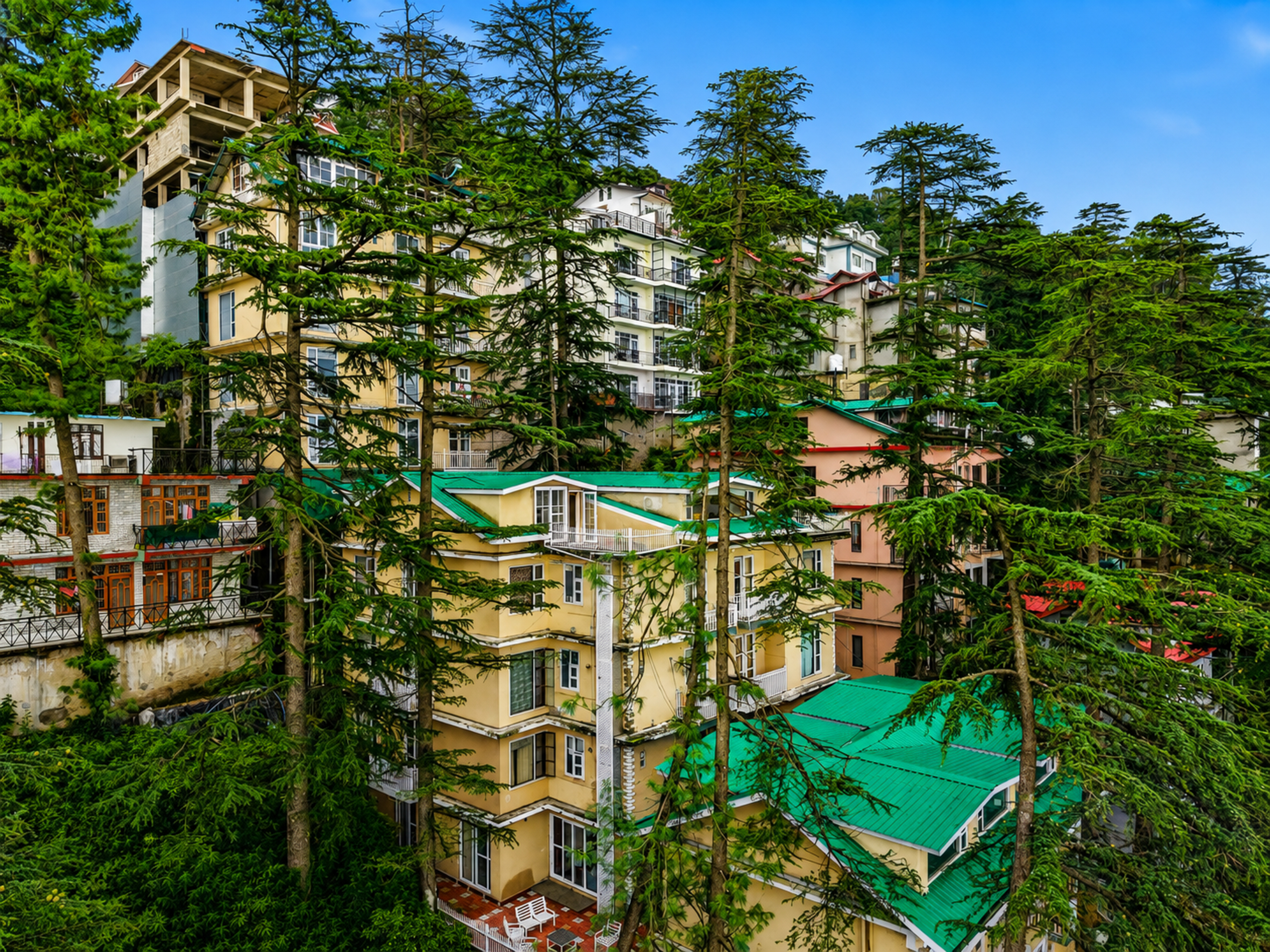 Pet-Friendly 4 BHK Attic Apartment with Private Balconies, Forest View, Reception & Indoor Games — photo 33
