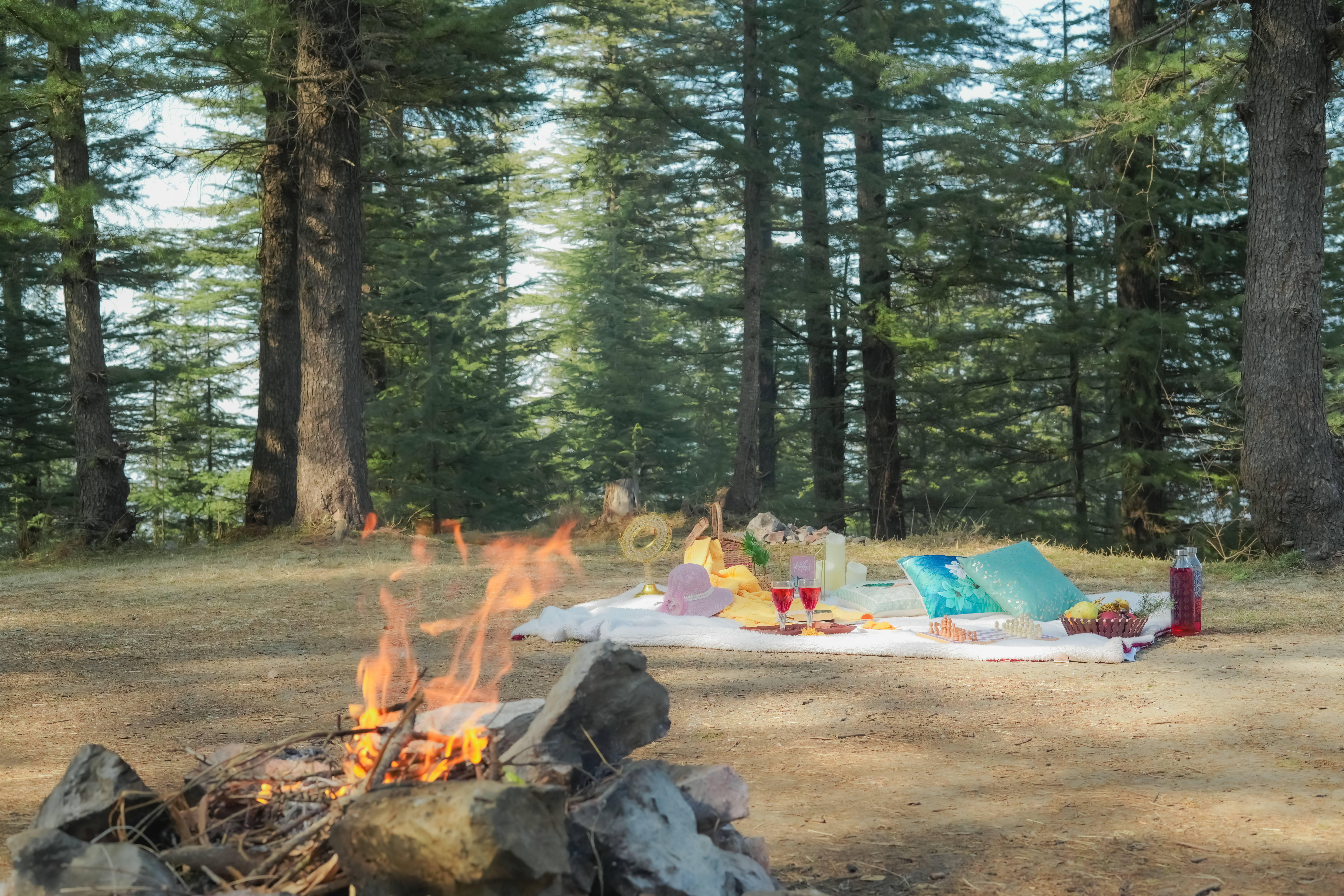 Common bonfire area