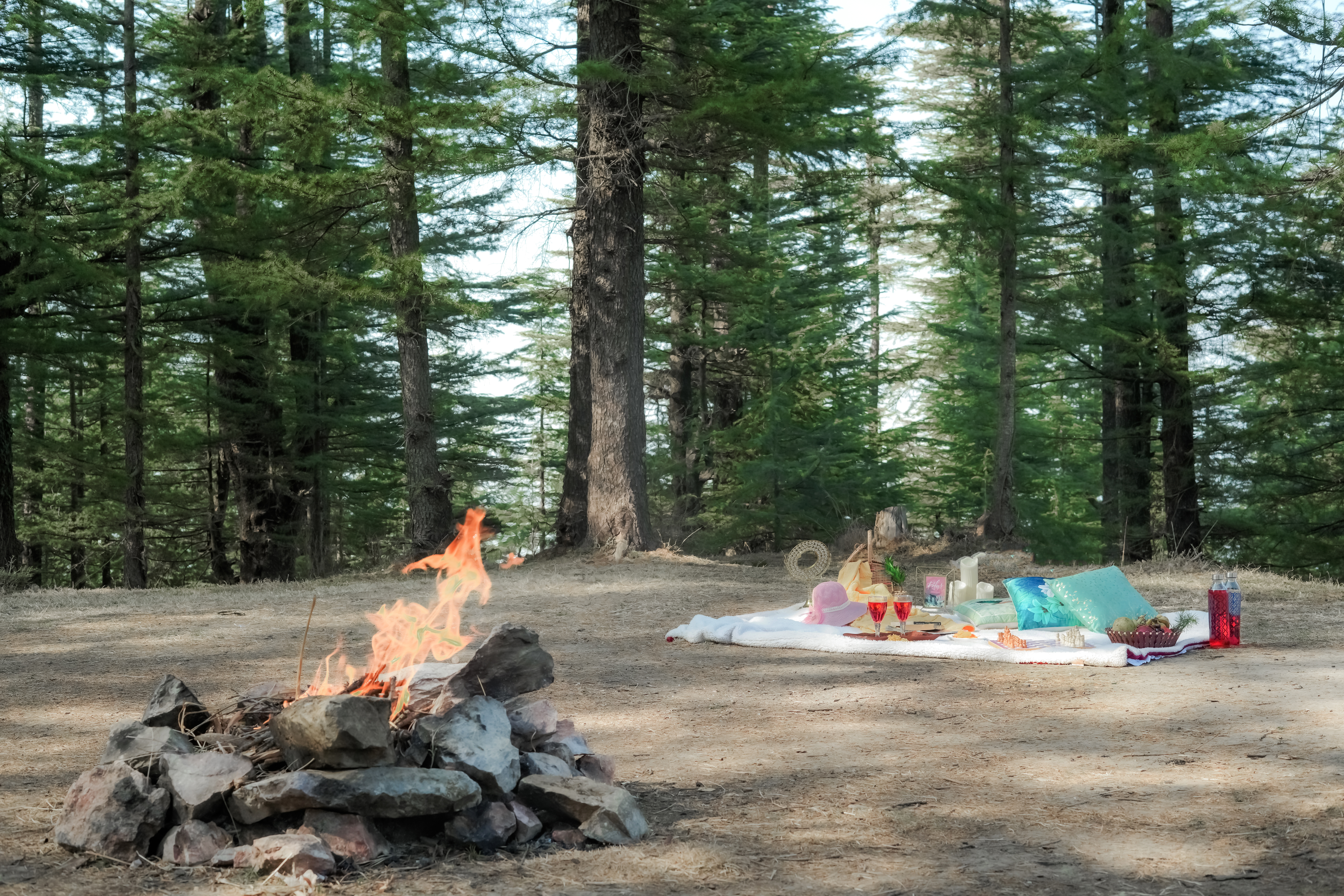 Common bonfire area