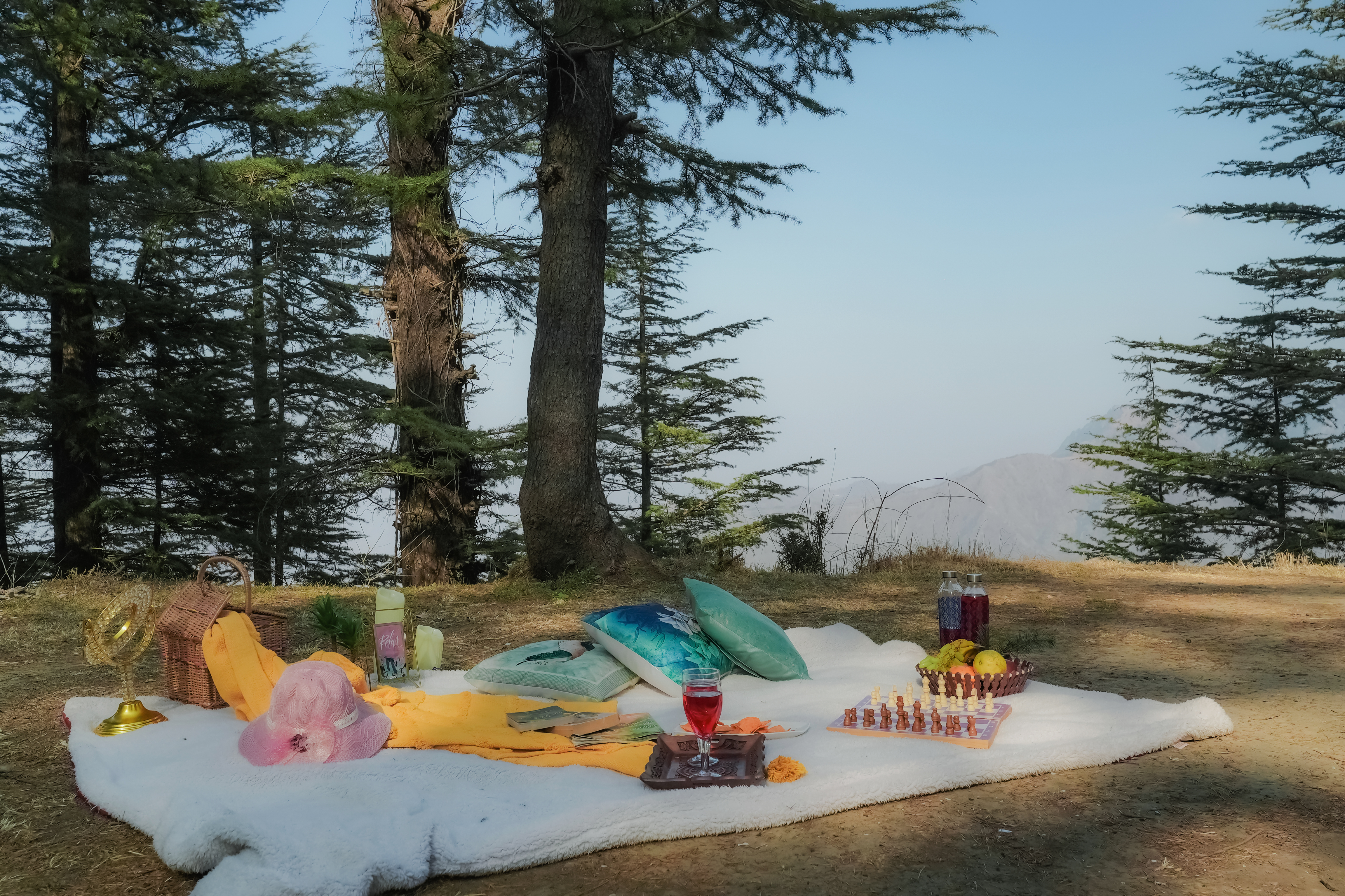 Shared picnic spot