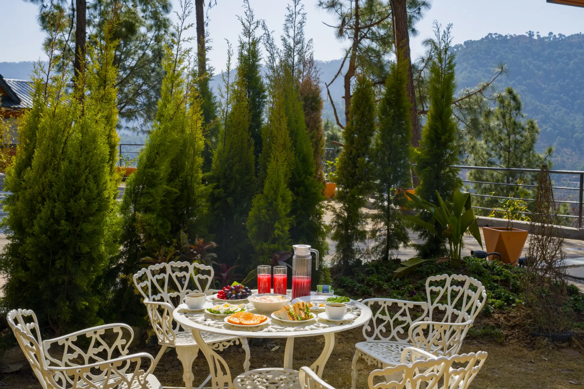 Sirmour Baag Rose, Kasauli - Garden