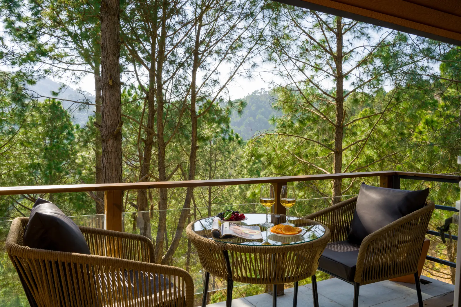 Sirmour Baag Rose, Kasauli - Balcony