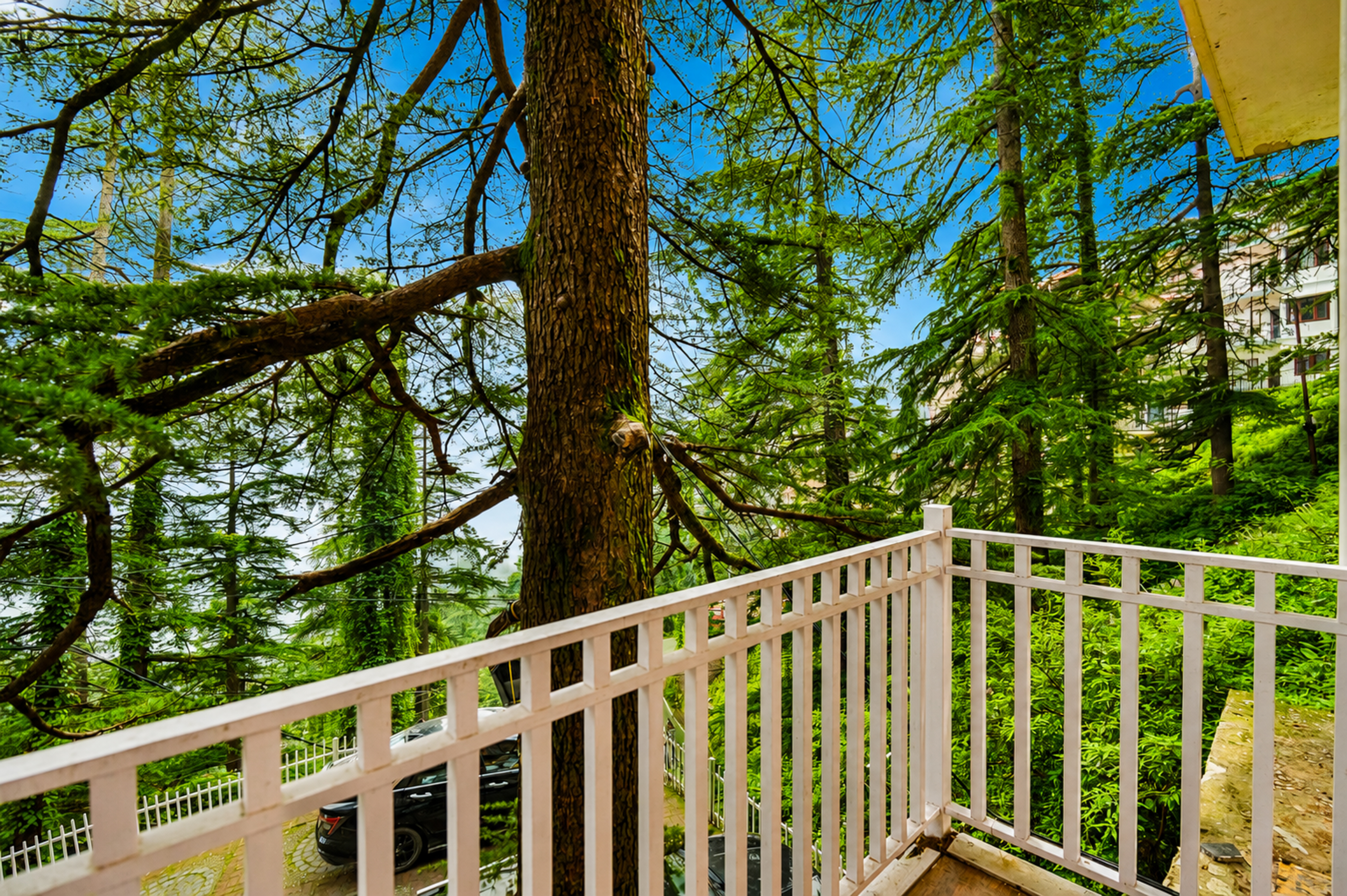 Pet-Friendly 1 BHK Hill-View Apartment with Private Balcony, Reception, & Indoor Games — photo 10