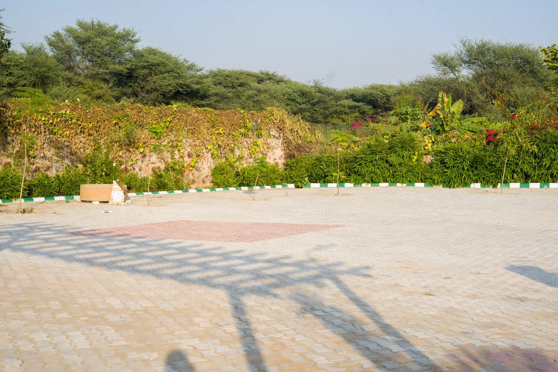 Zenora | Pet-friendly 5-BHK Farmhouse With Pvt Pool, Garden & Terrace 