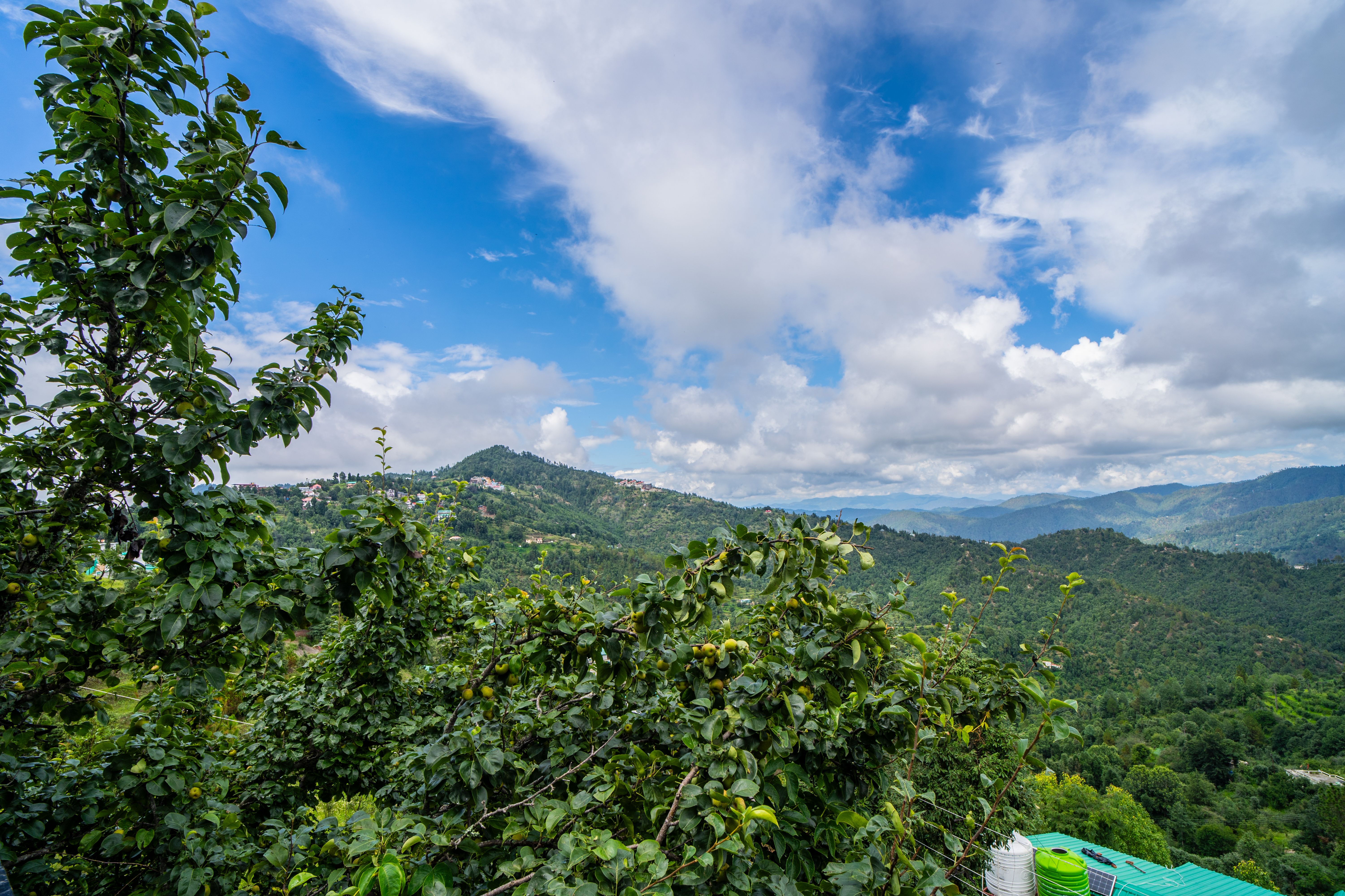 View