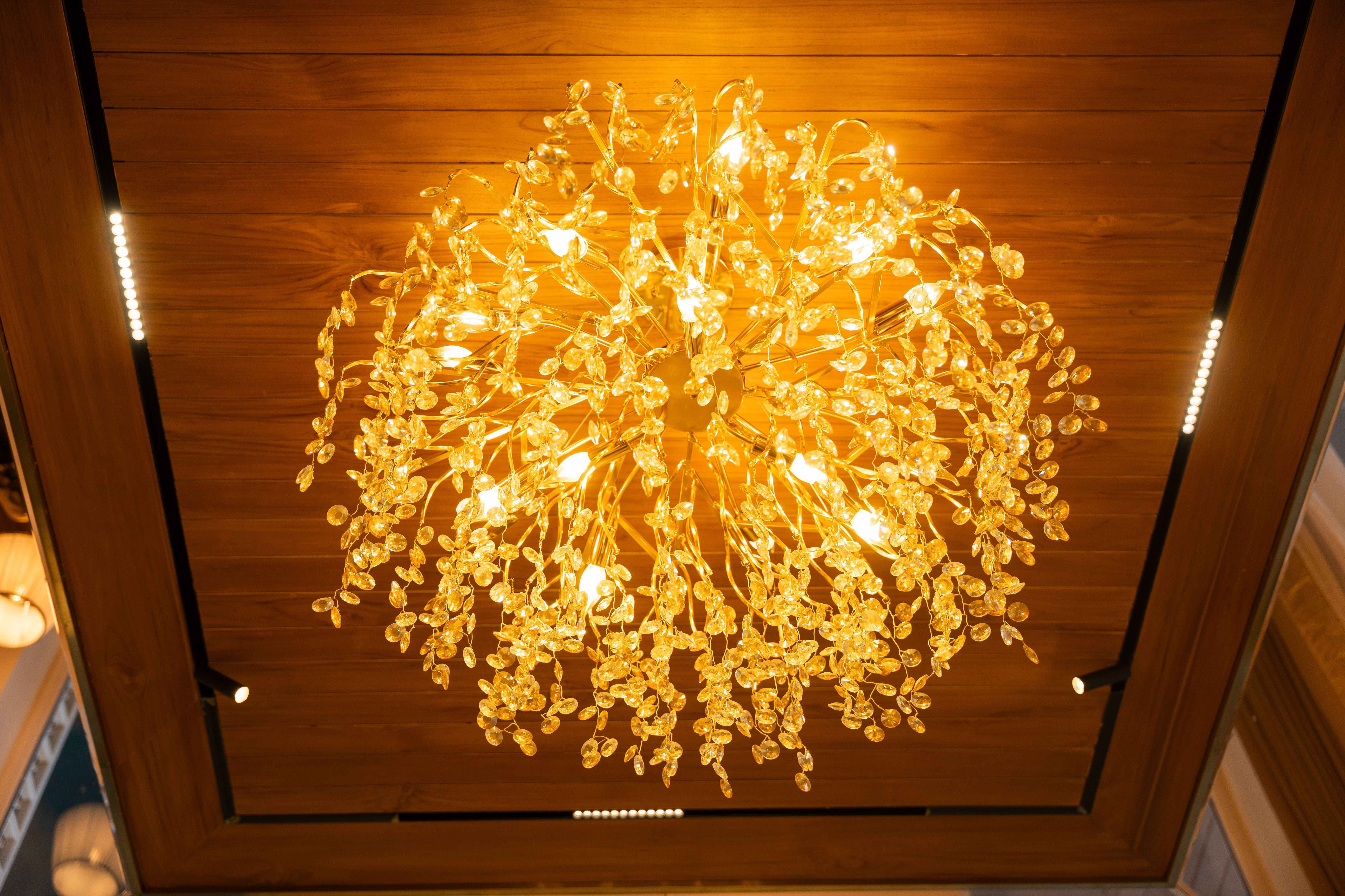 The Royce Orchid Villa Kasauli - Lounge