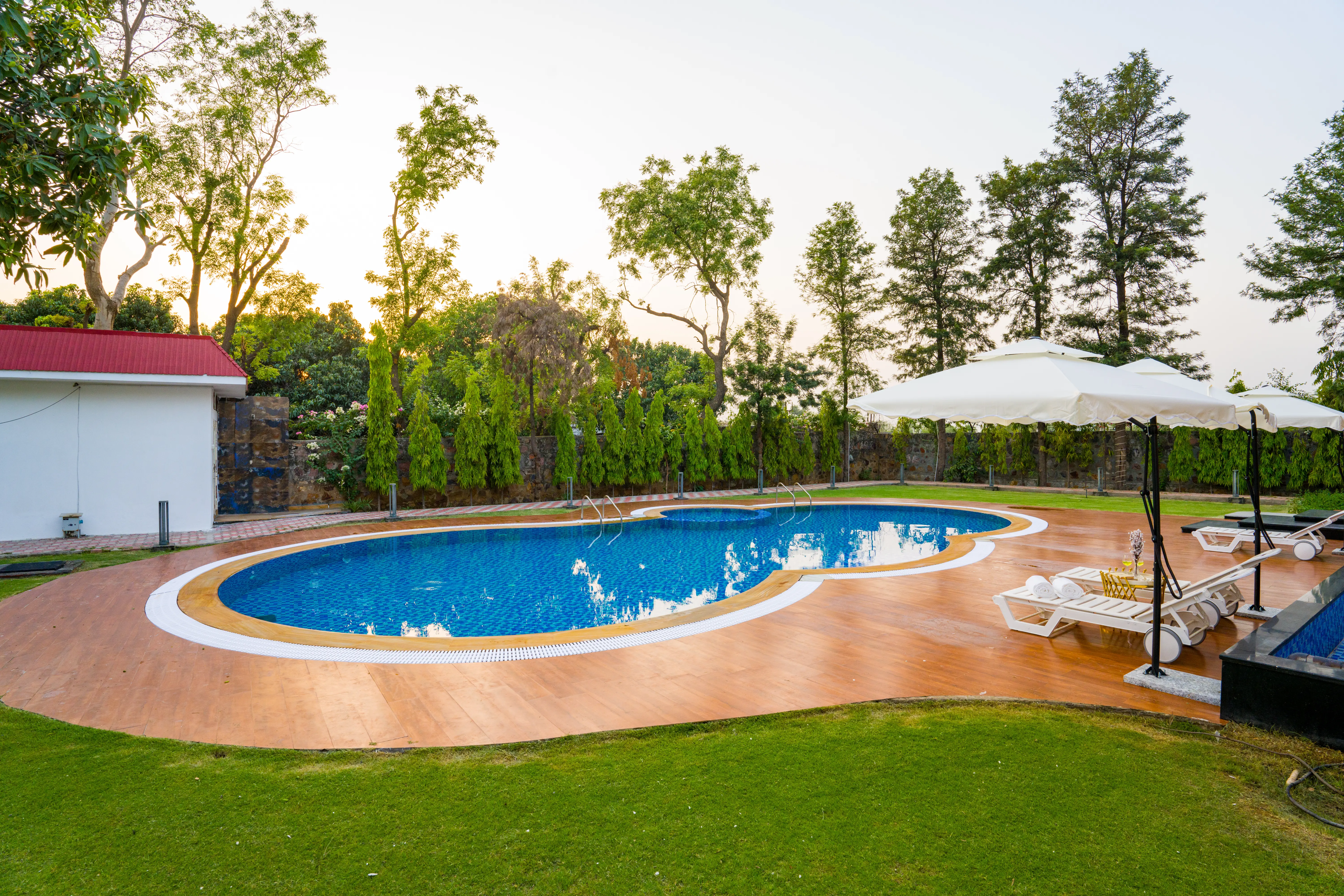Sanisa Farm, Gurugram - Swimming pool