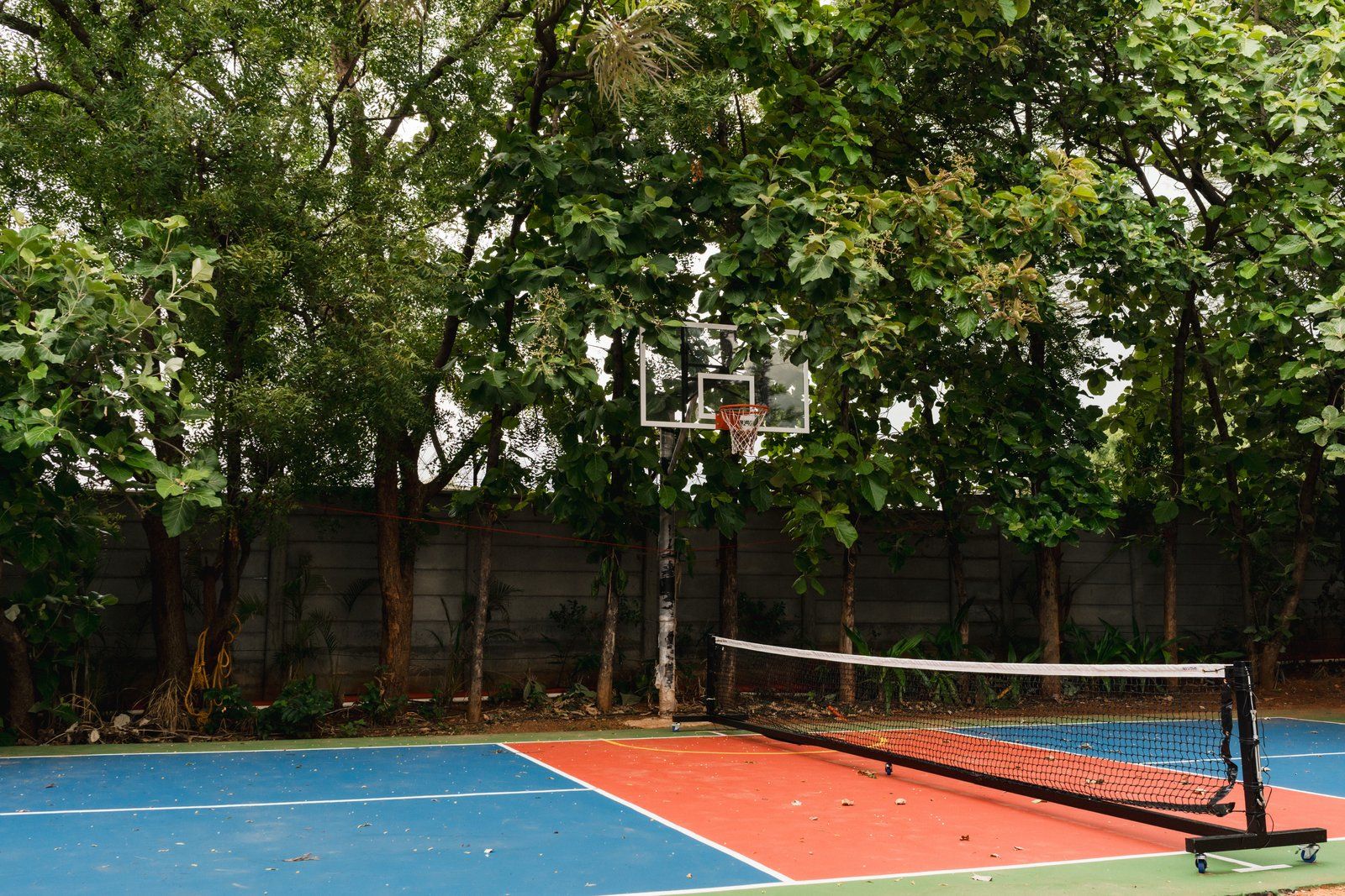 Common pickleball court