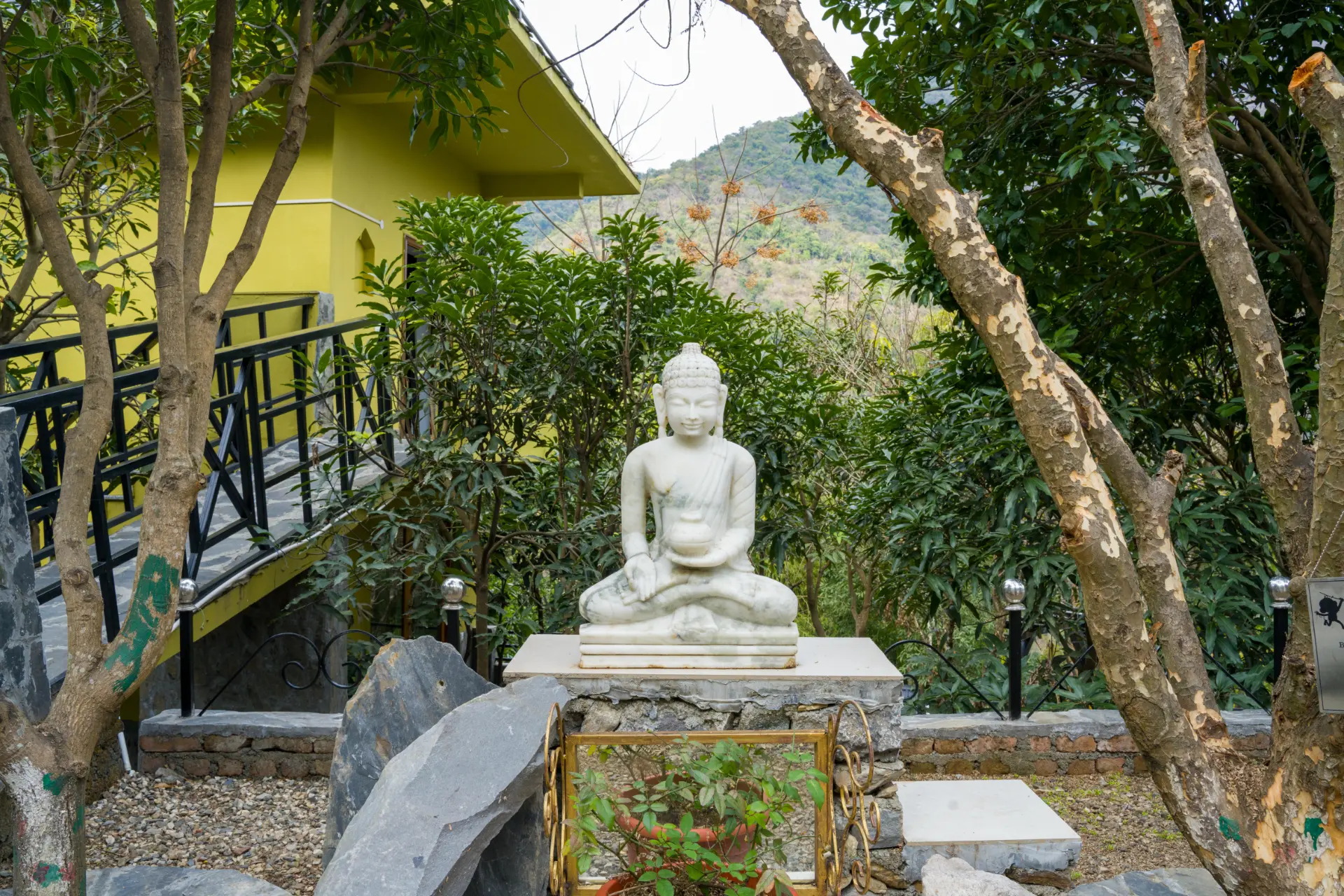 Image 28