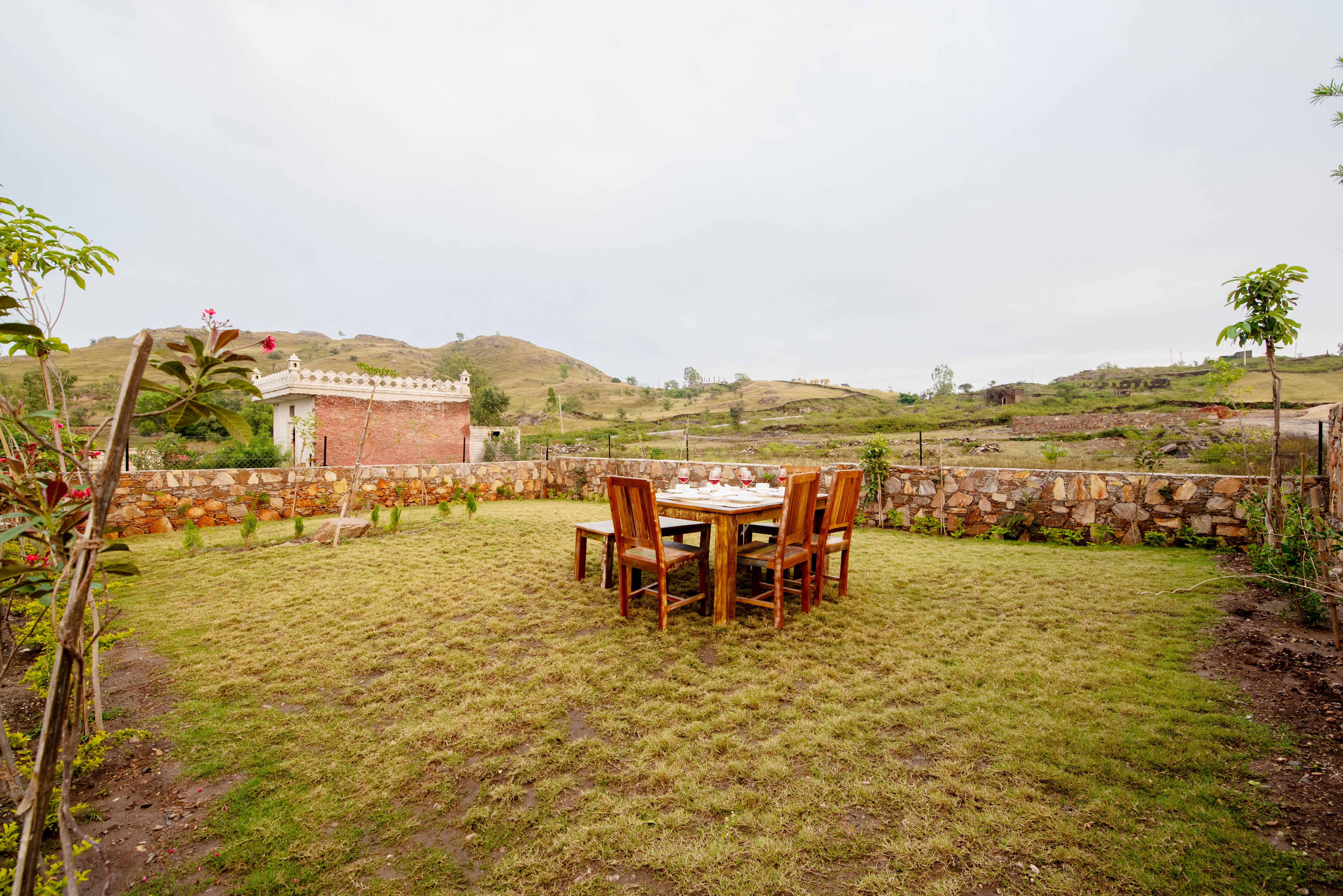 Garden 1