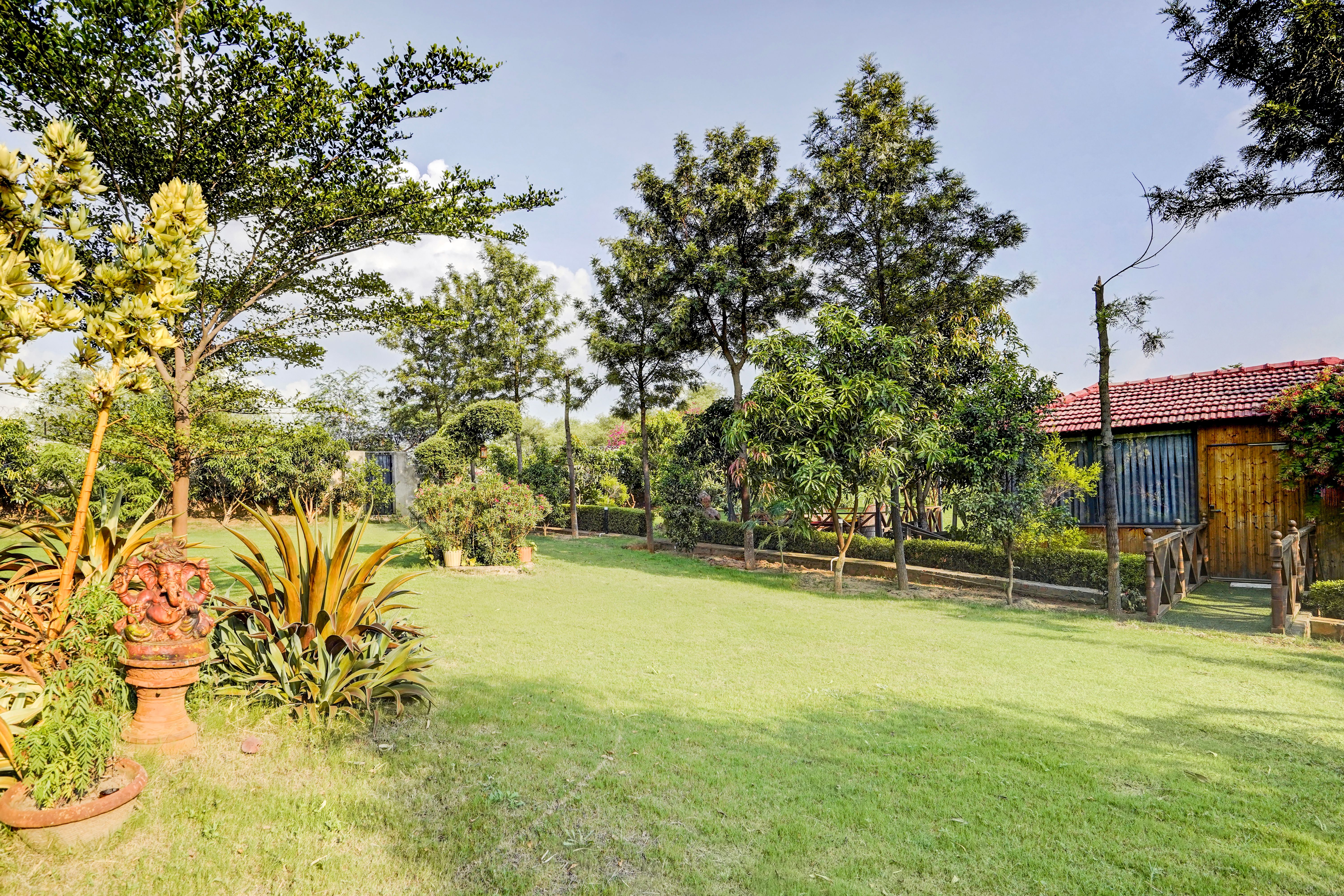 Lush garden