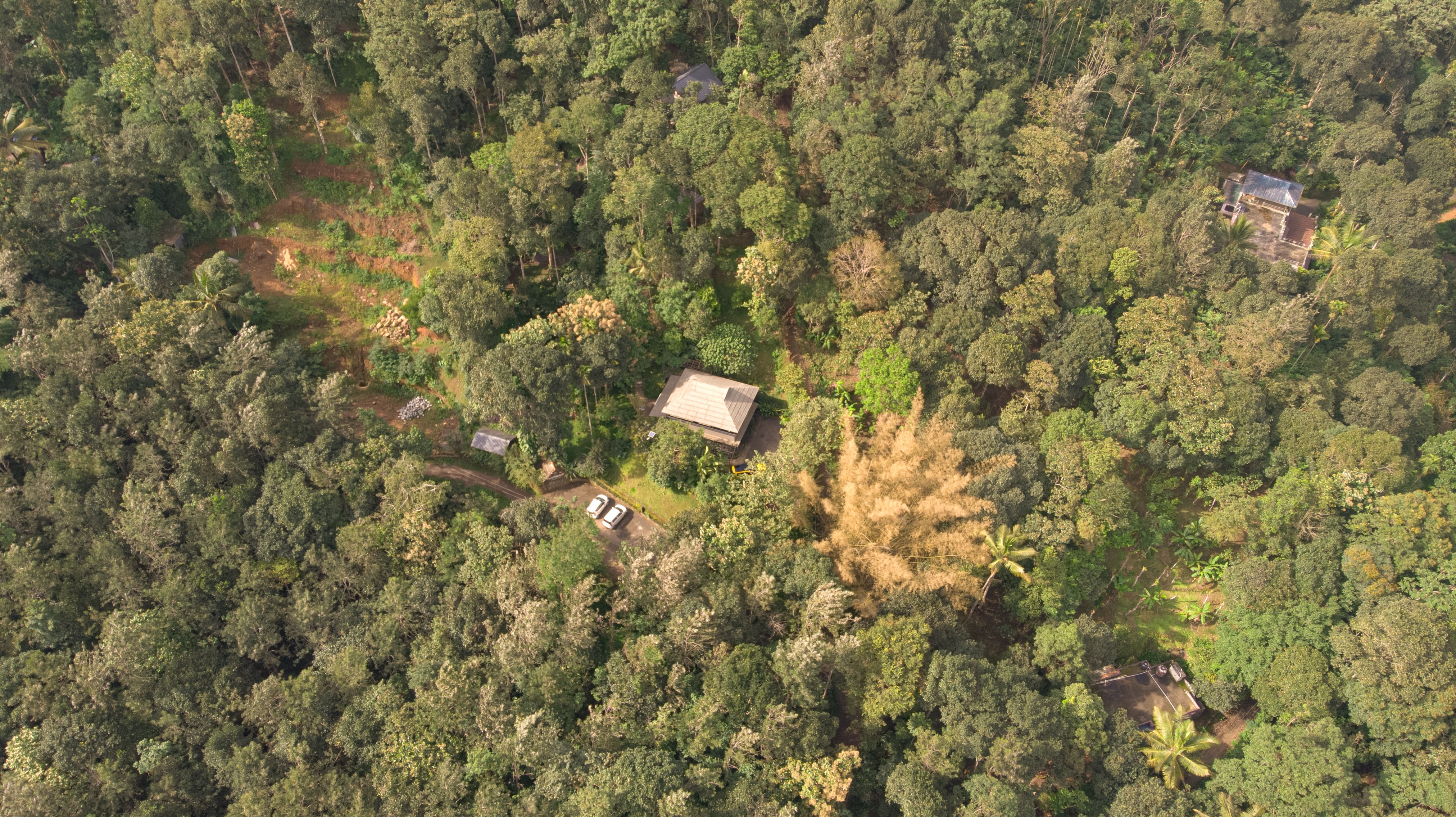 Panchavadi | Tree House On 10-acre Land With Natural Pool, Garden & Restro