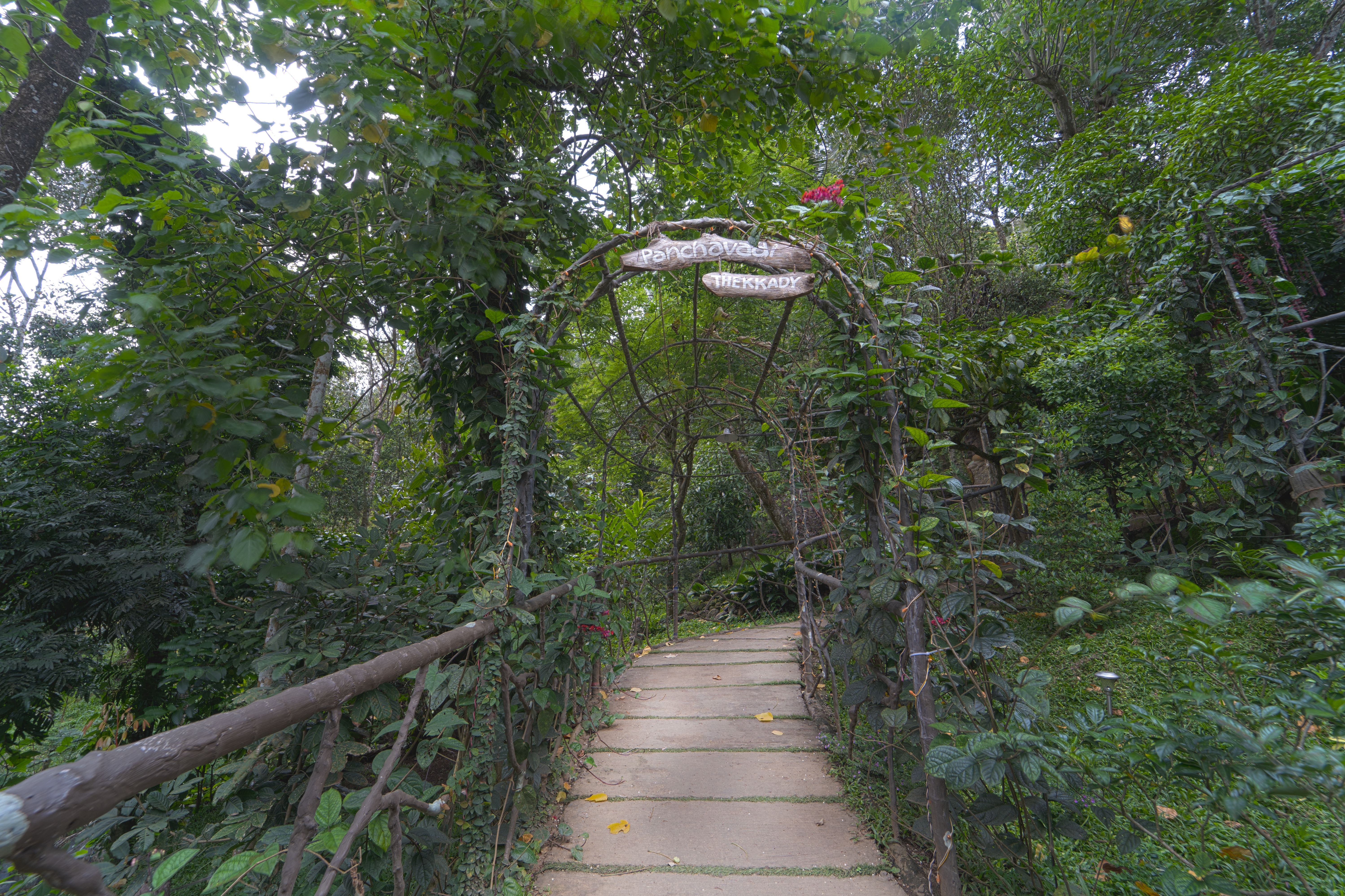 Panchavadi | Tree House On 10-acre Land With Natural Pool, Garden & Restro - Image 4