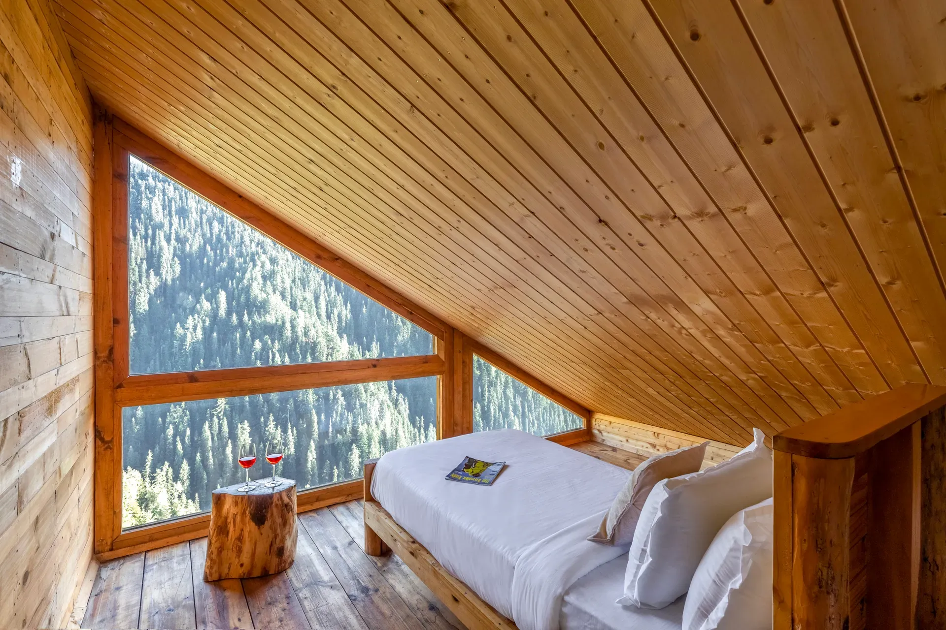 Skylounge Villa, Shimla - Actic