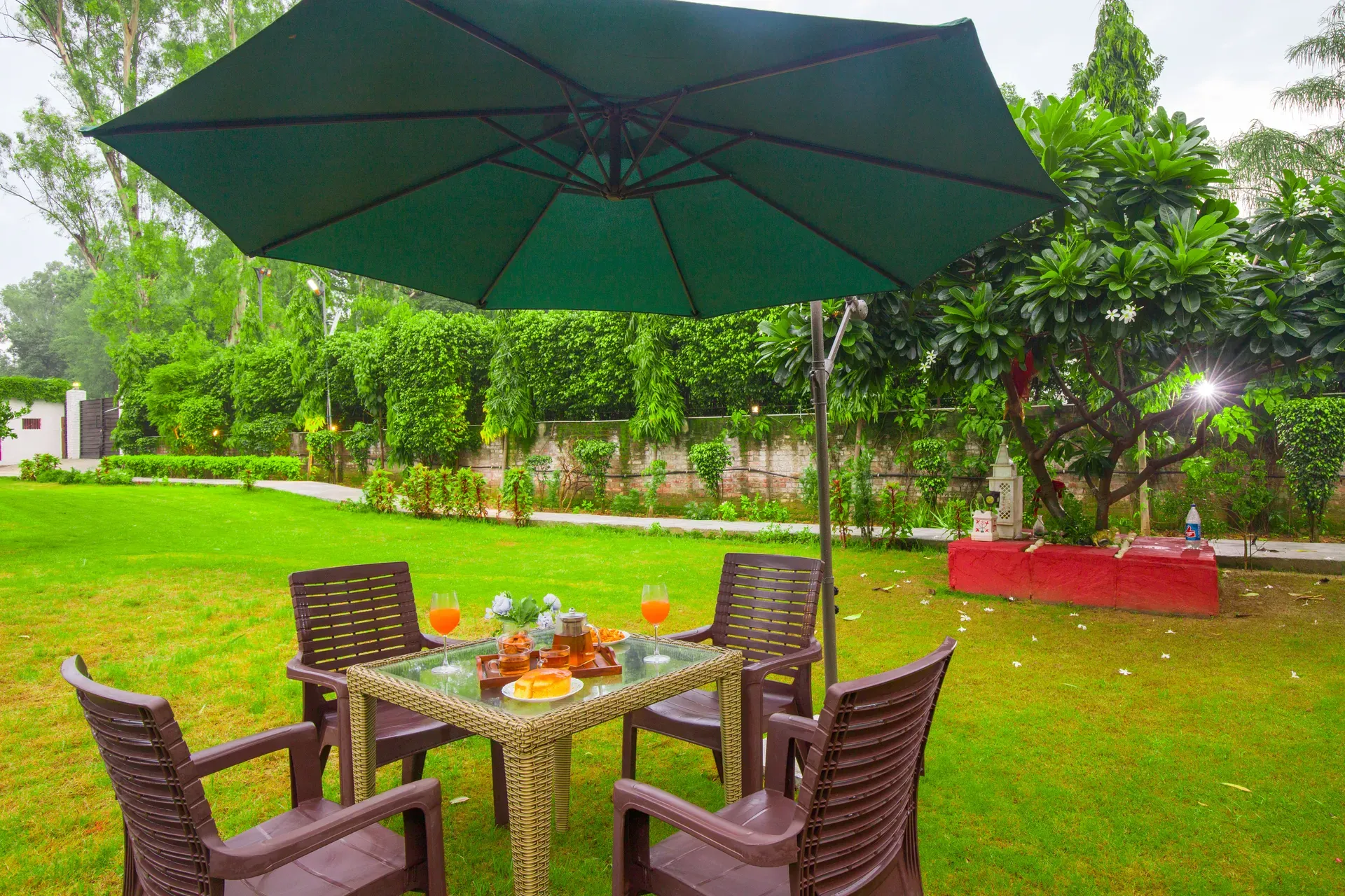 Daffodil | Pet-friendly 3-BHK Villa With Pvt Pool & Garden  - Image 3