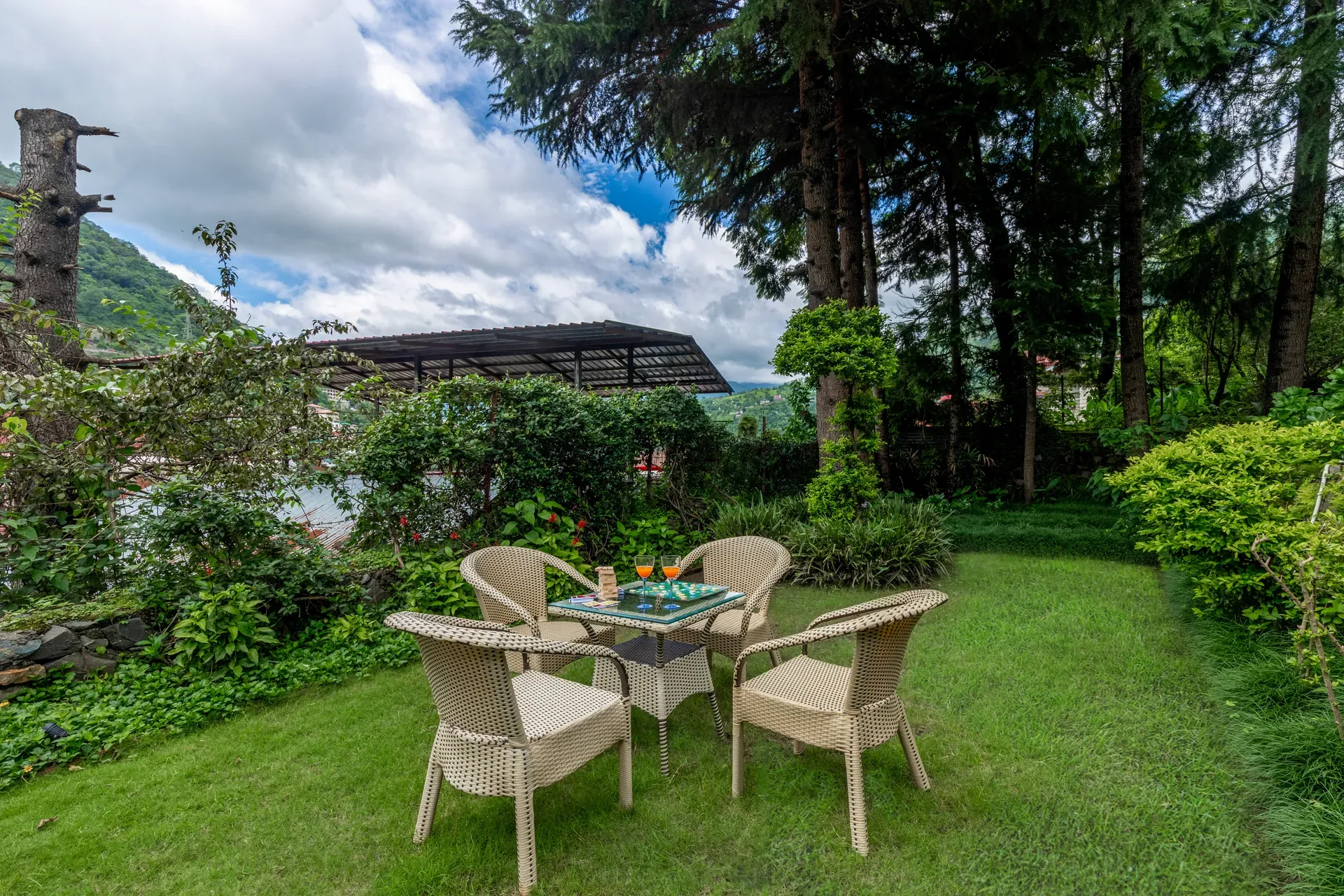 Garden