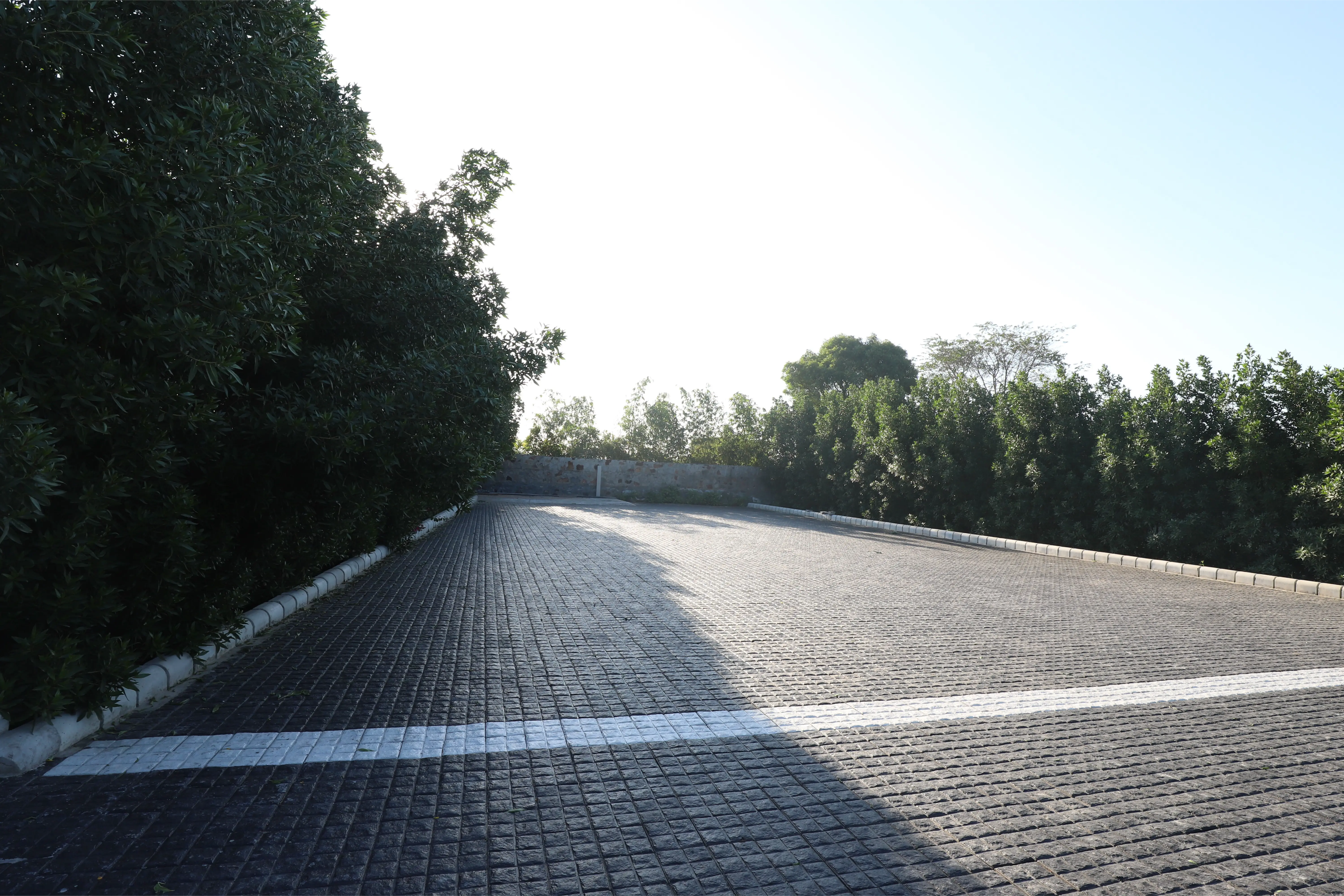 Riveira Hills, Alwar - Parking