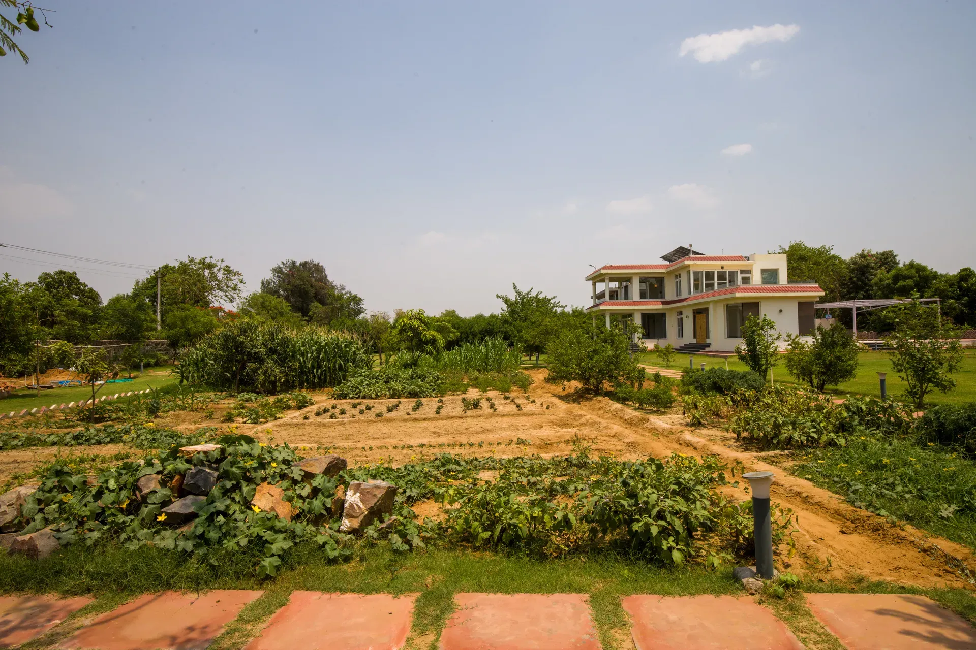 Raga Villa, Delhi NCR - Farm