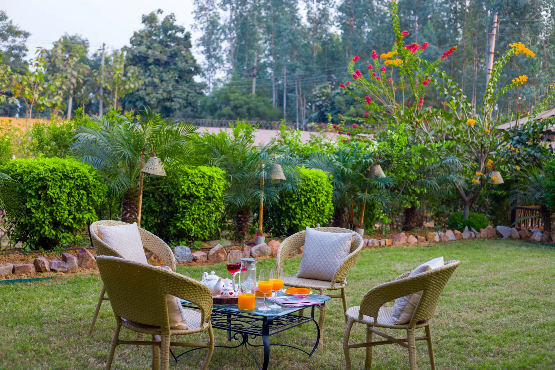 Garden