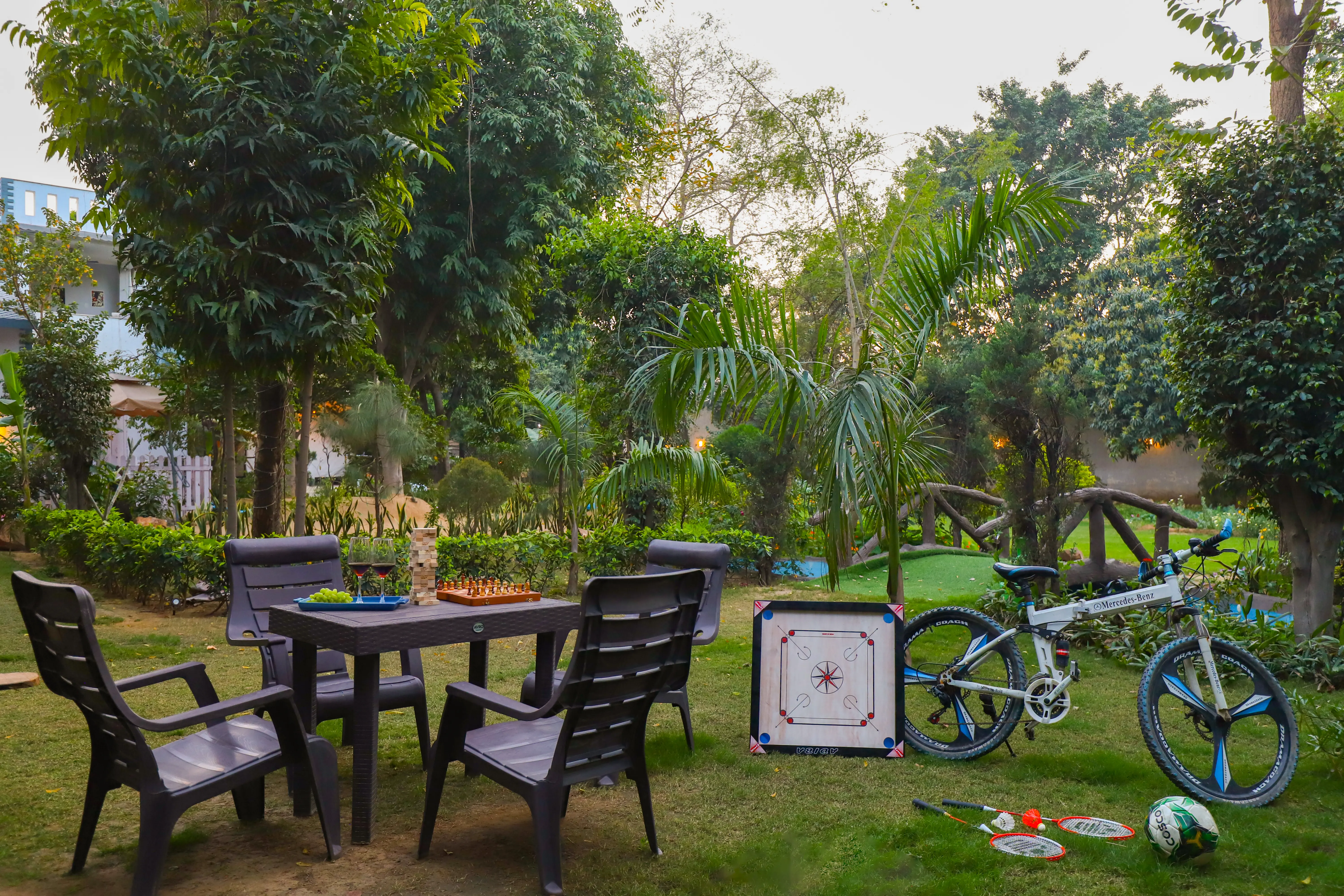 Garden