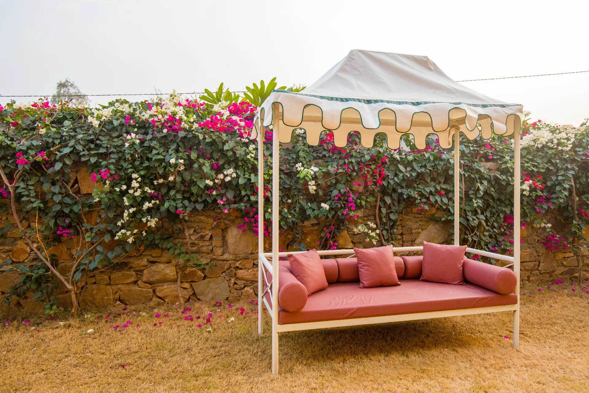 Amber Royale Villa - Udaipur - Garden
