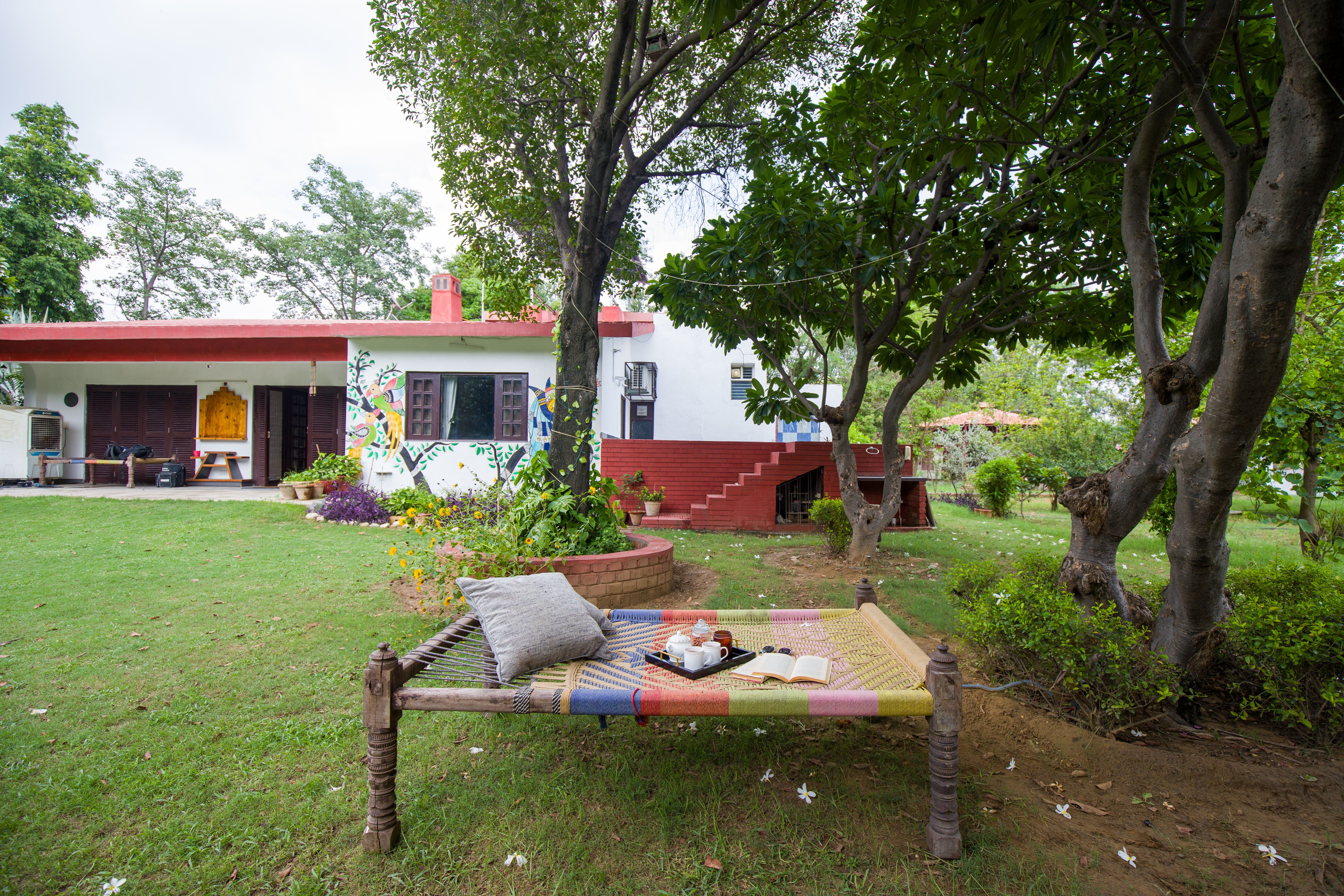Image 6