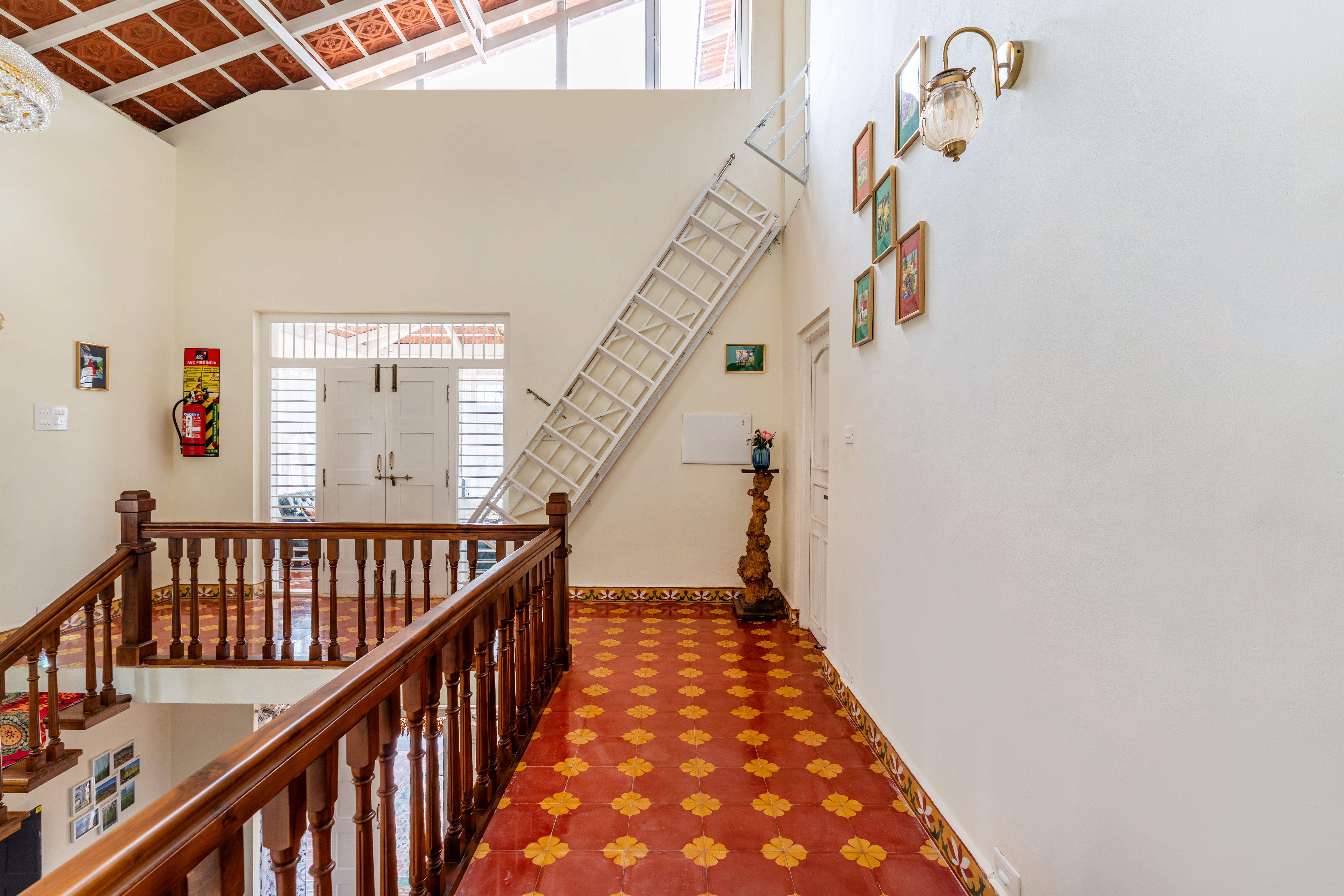 Image 12