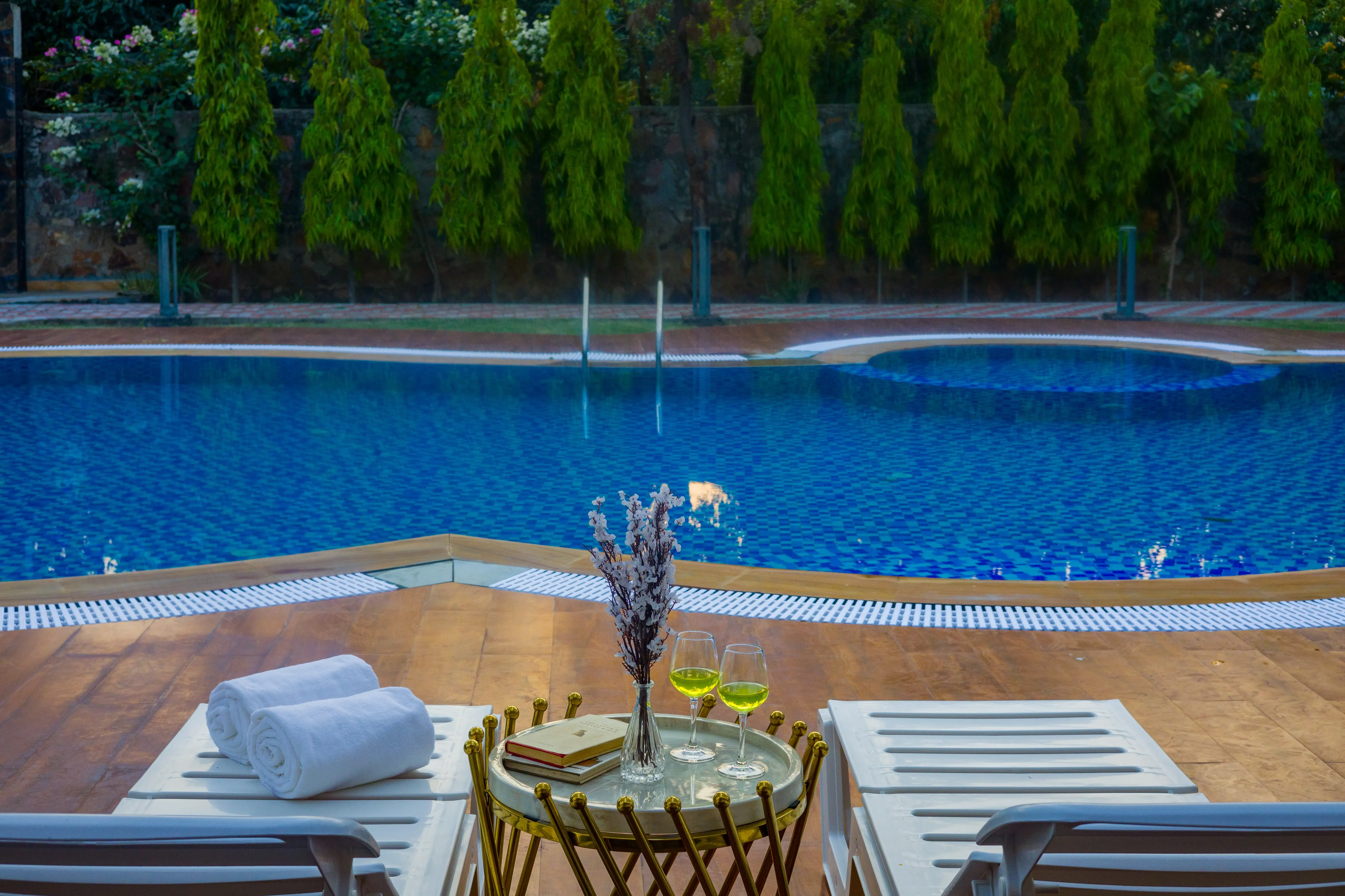 Sanisa Farm, Gurugram - Swimming pool