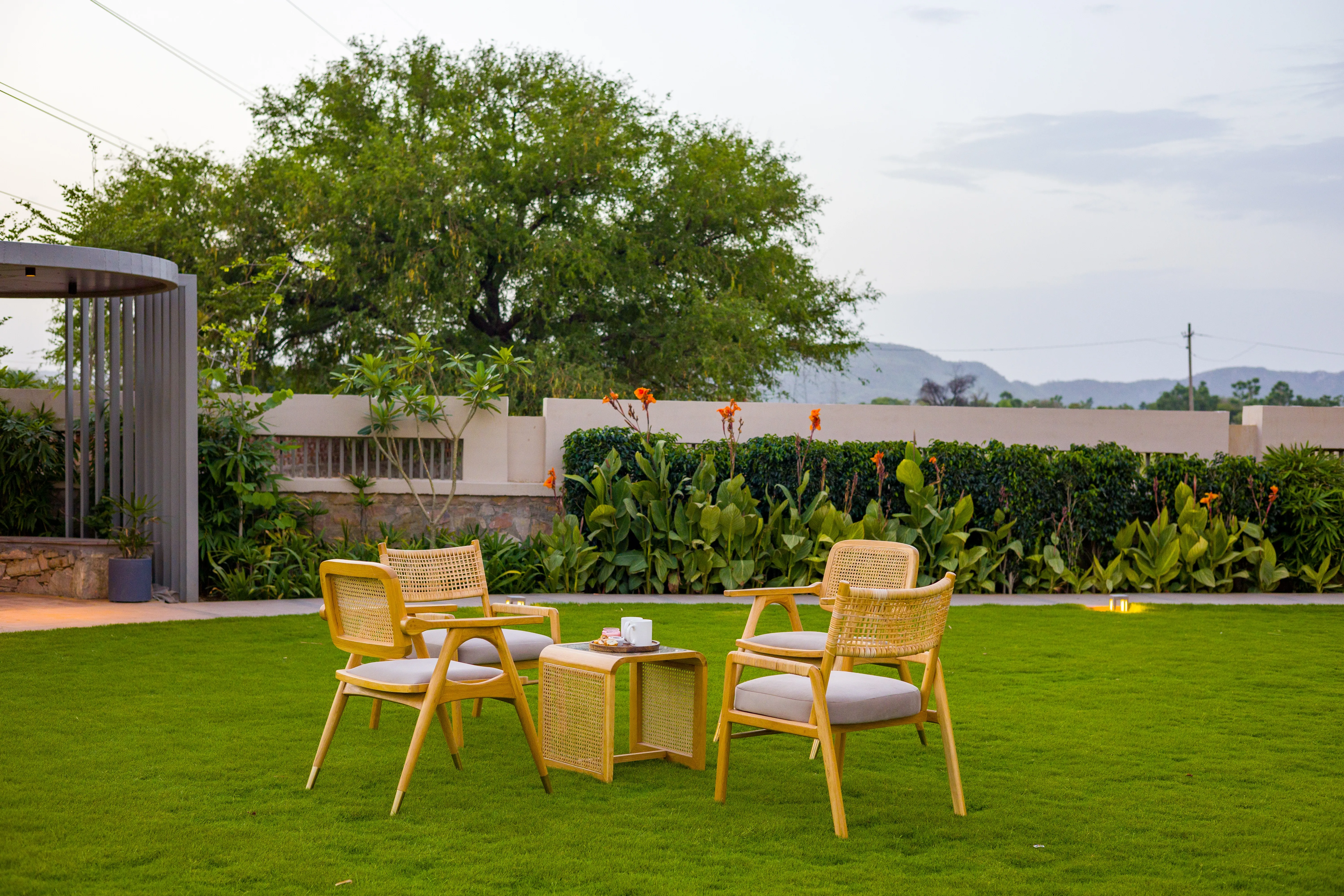Garden