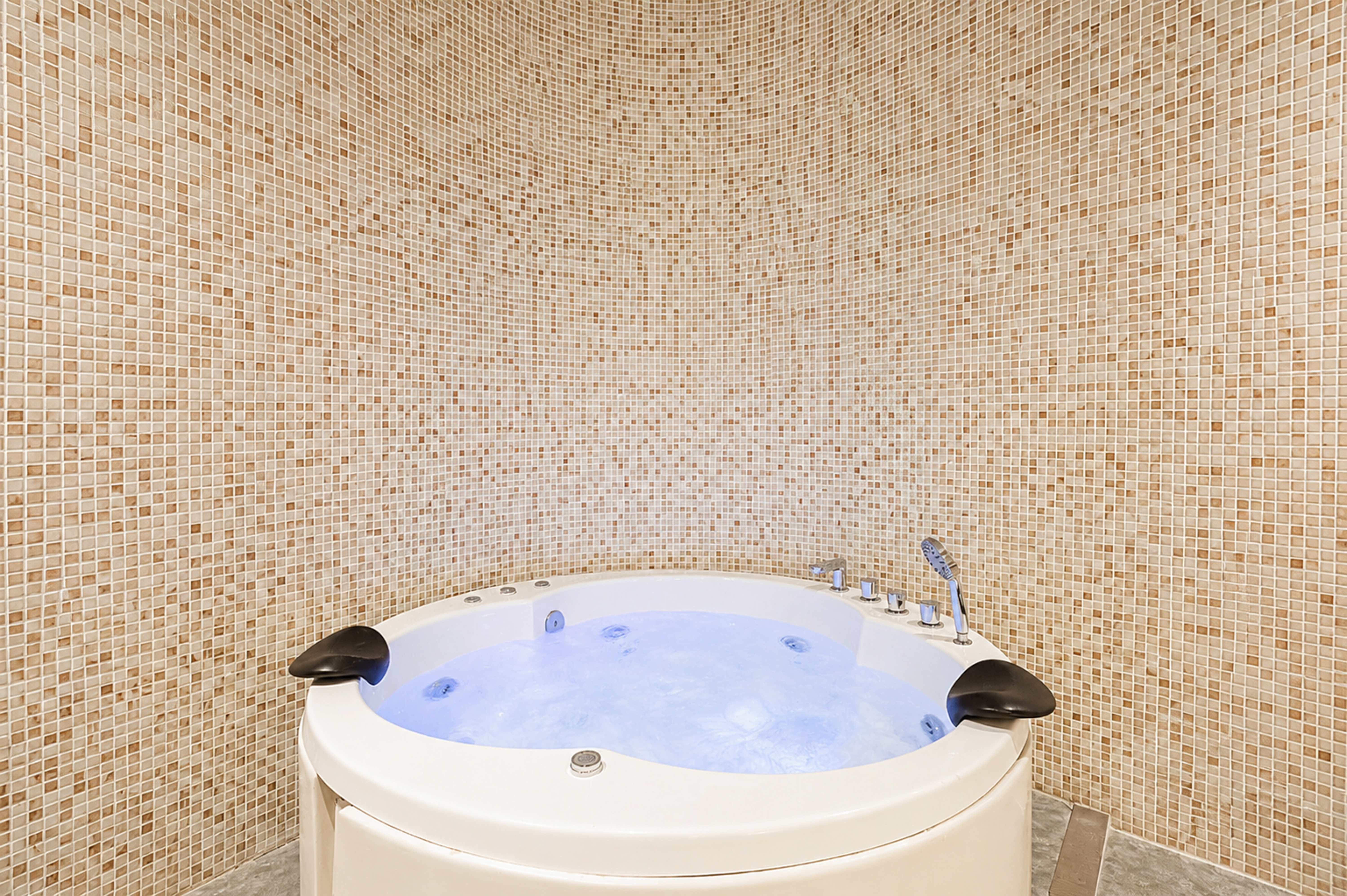 Pet-Friendly 1-Room Hotel Suite with Jacuzzi & Aravalli Hill Views — photo 14