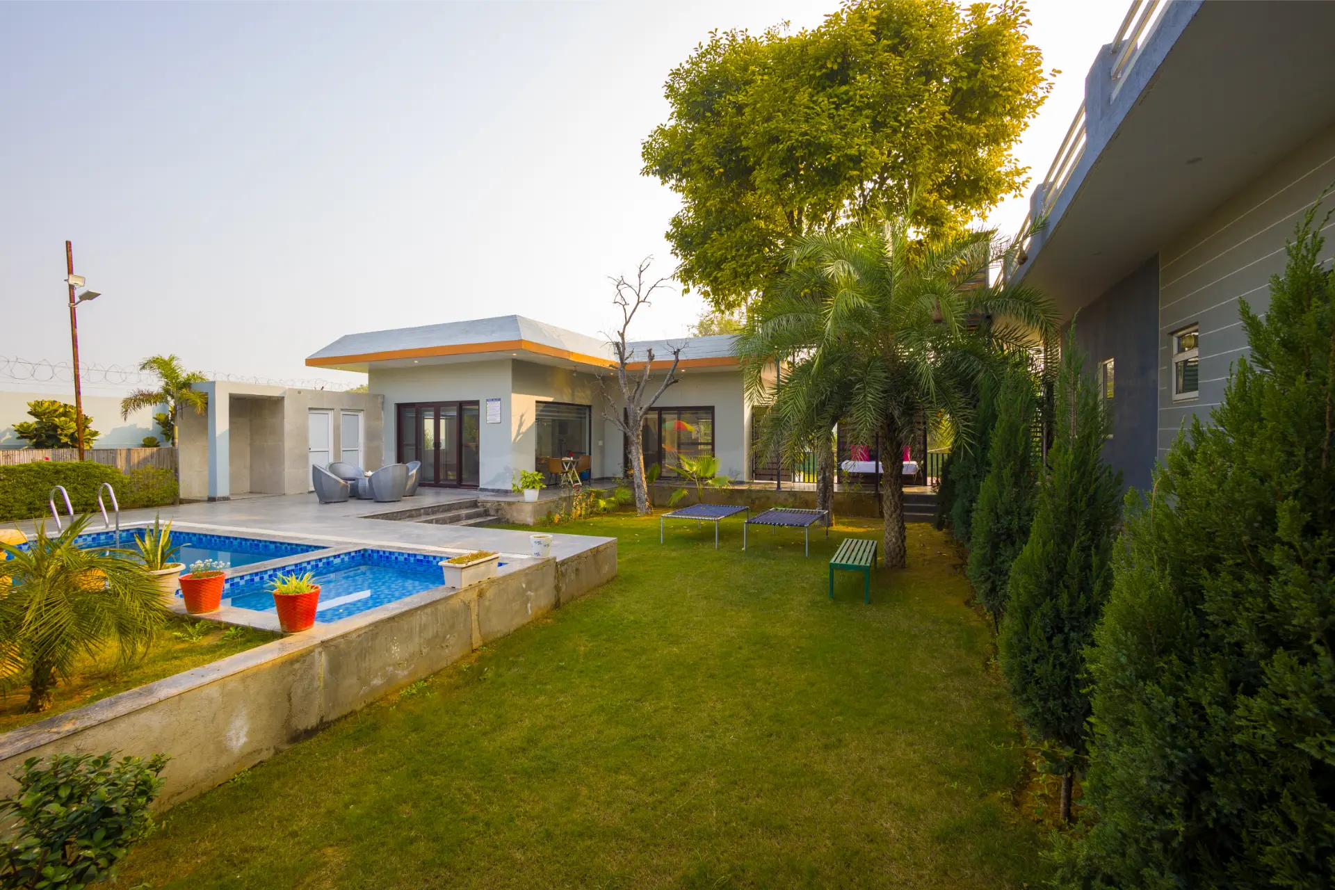 Lush Garden