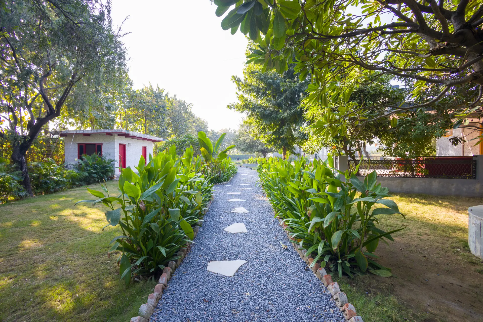 Image 12