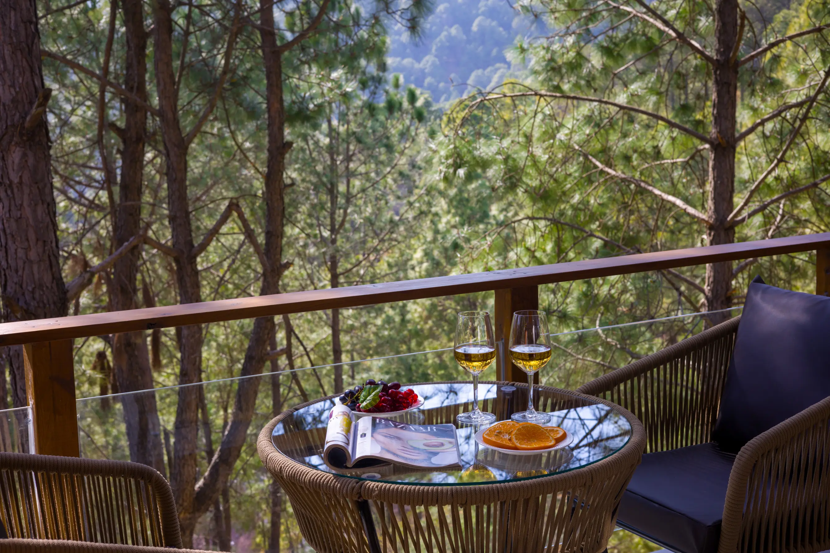 Sirmour Baag Rose, Kasauli - Balcony