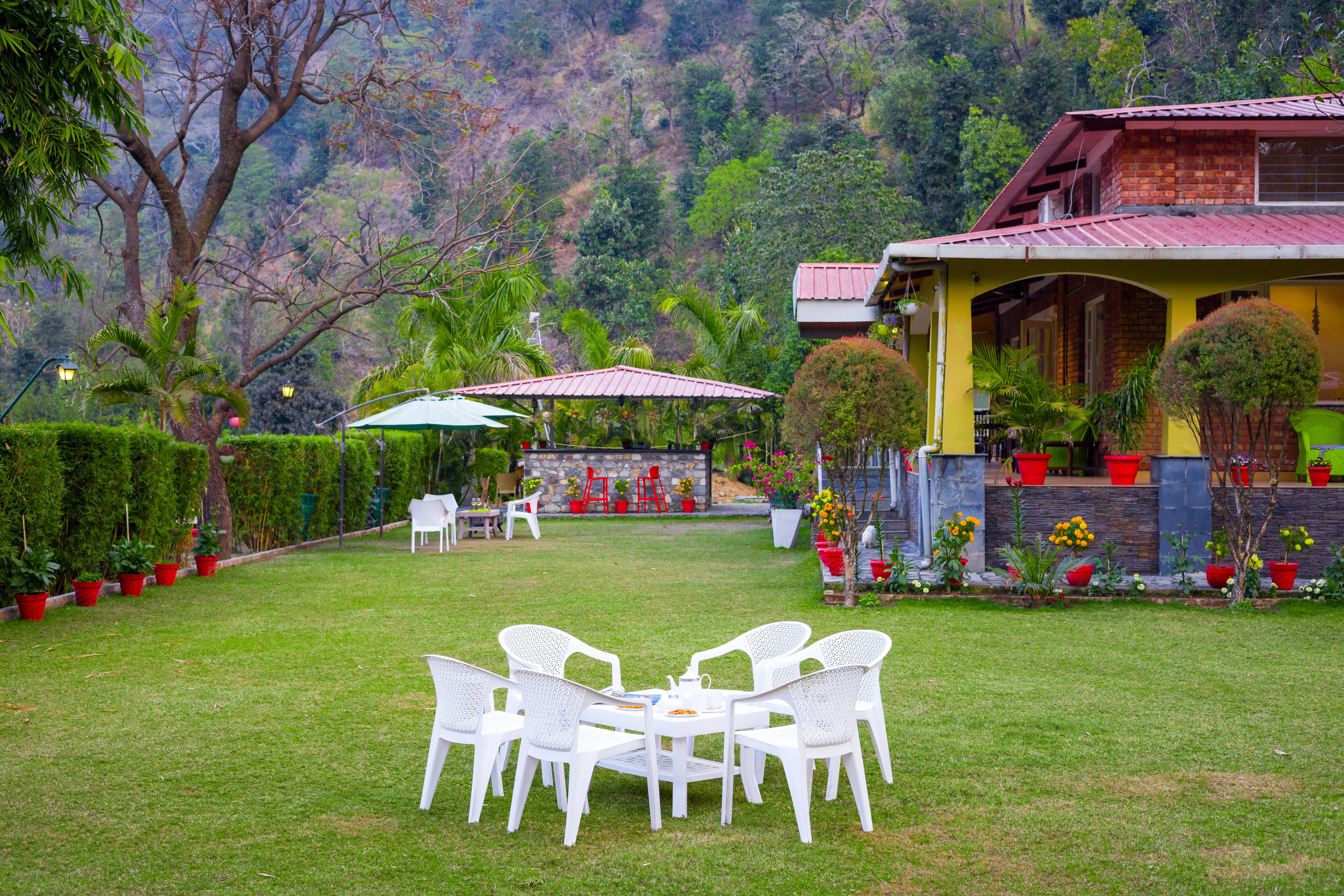 Garden