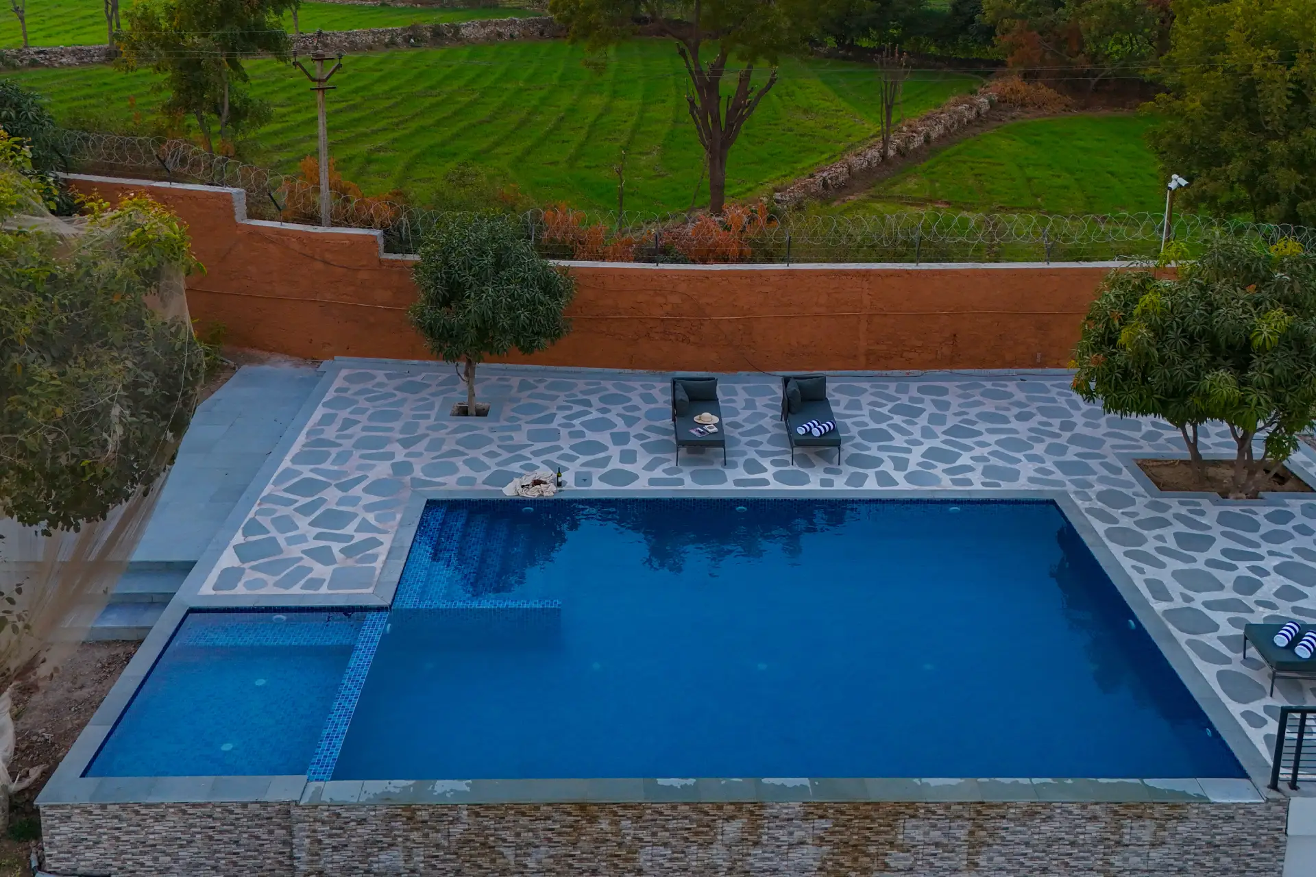 Cows & Cuddles Villa, Udaipur - Swimming pool