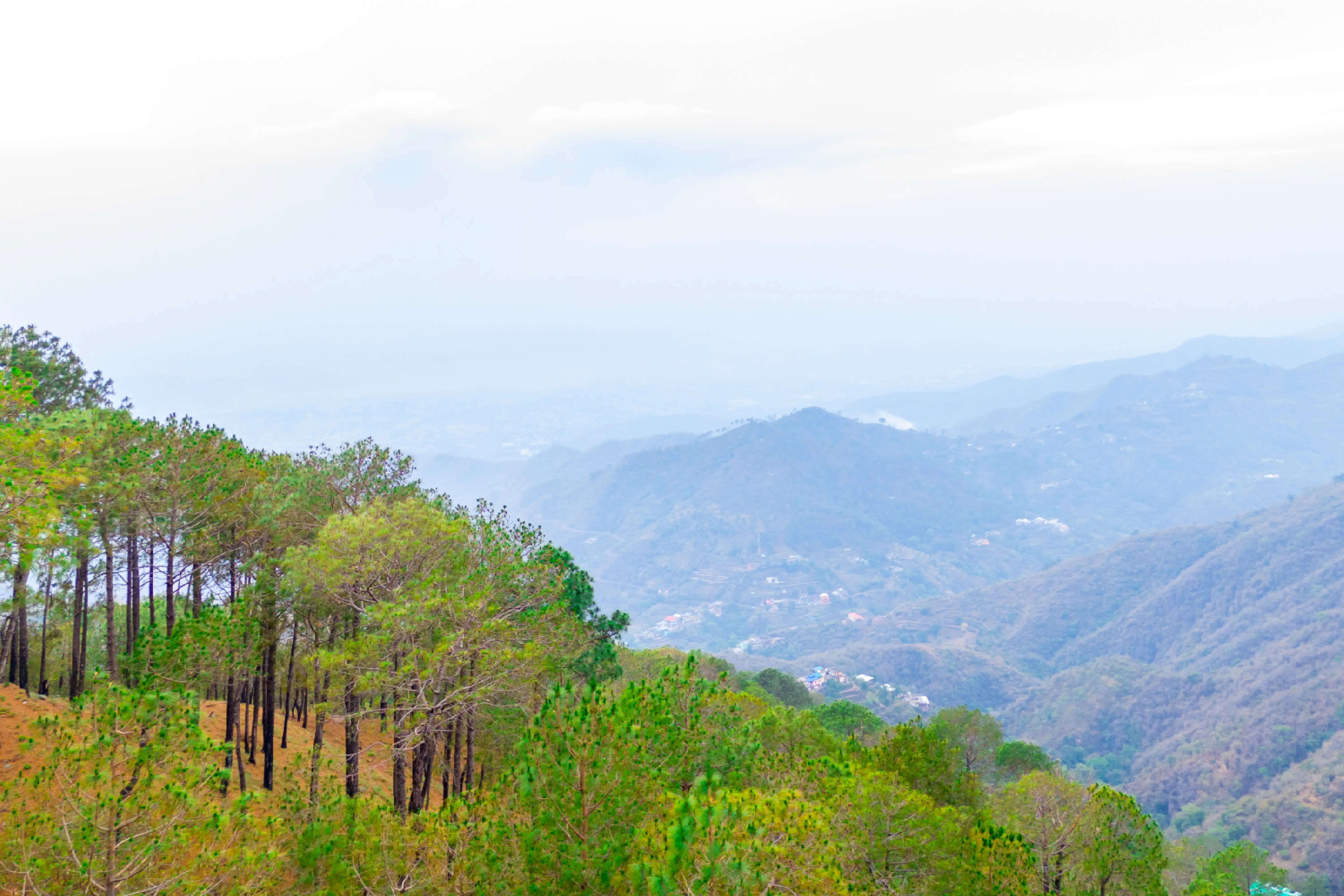 Archee’s Villa, Kasauli, Scenic view