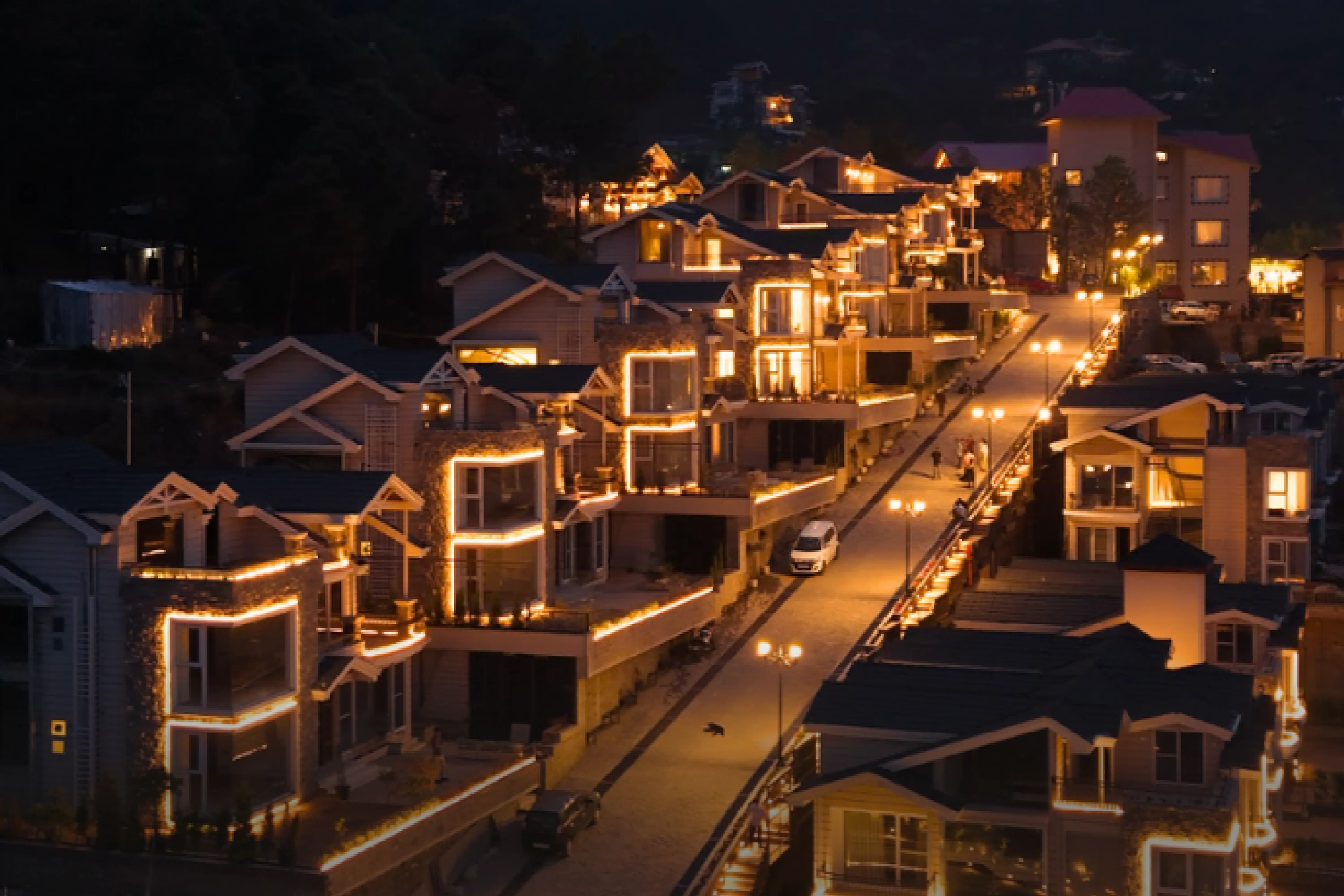 The Royce Villa, Kasauli - H1